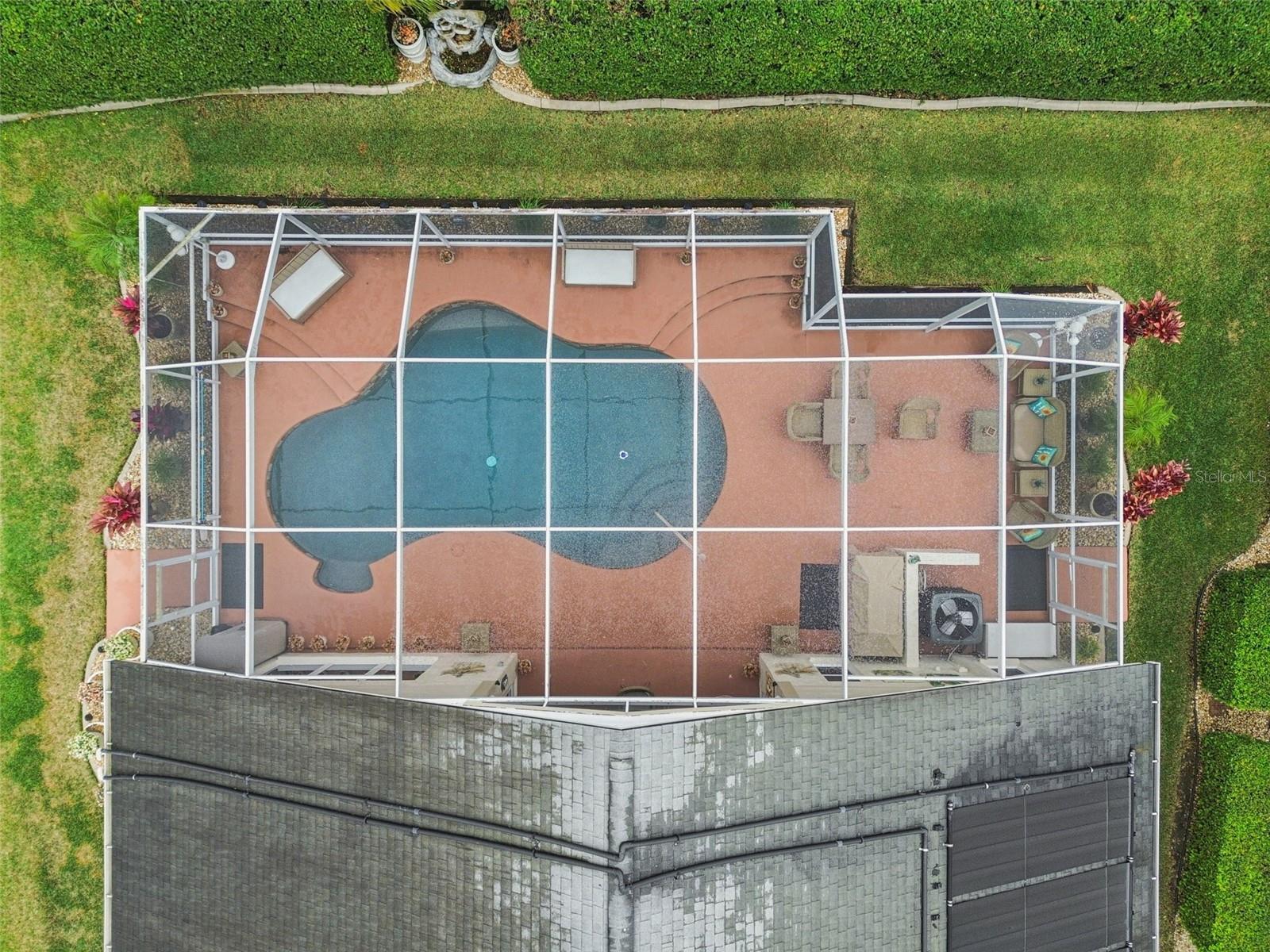aerial view of the pool