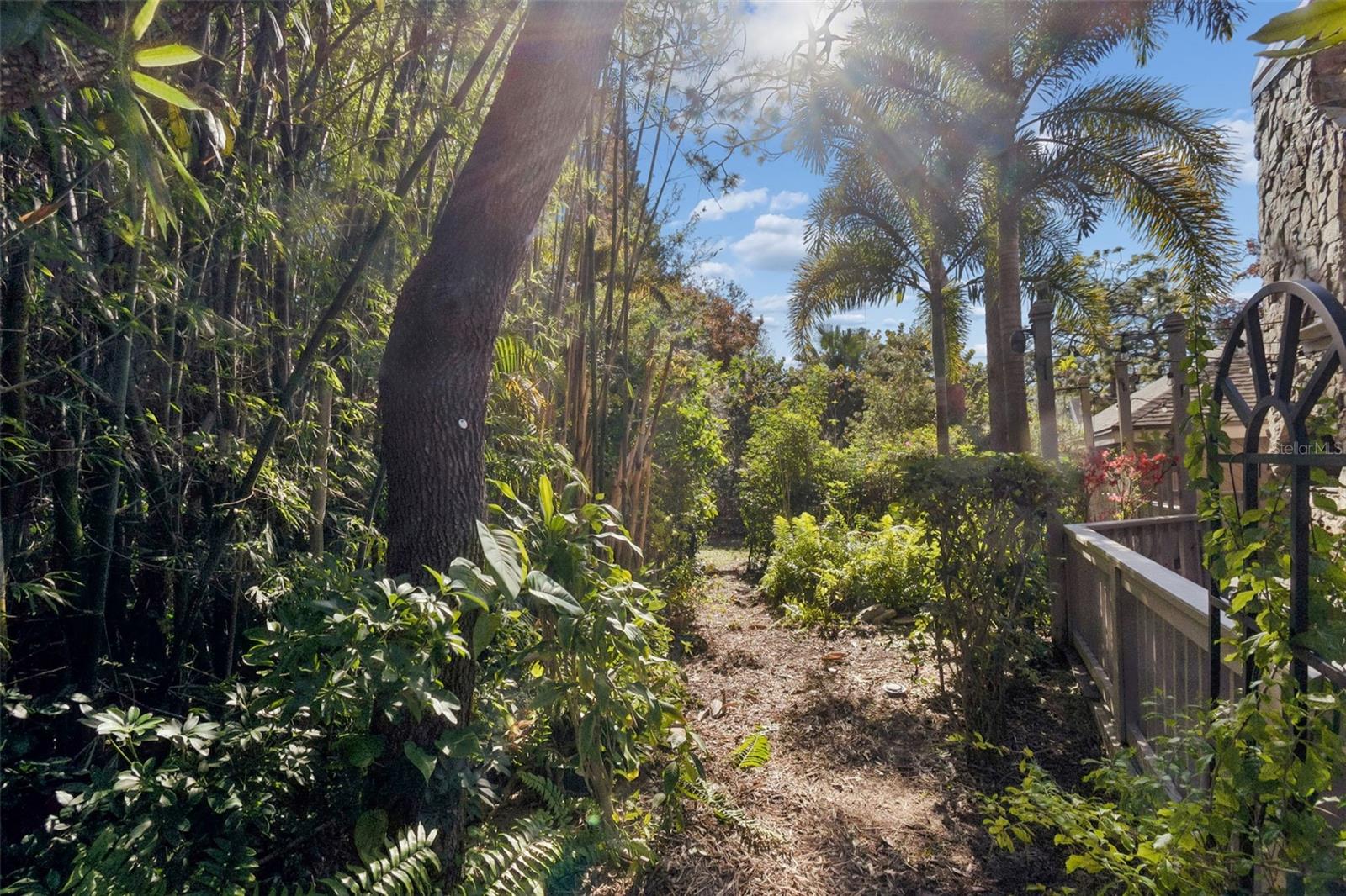 Unique tropical garden behind back patio/deck