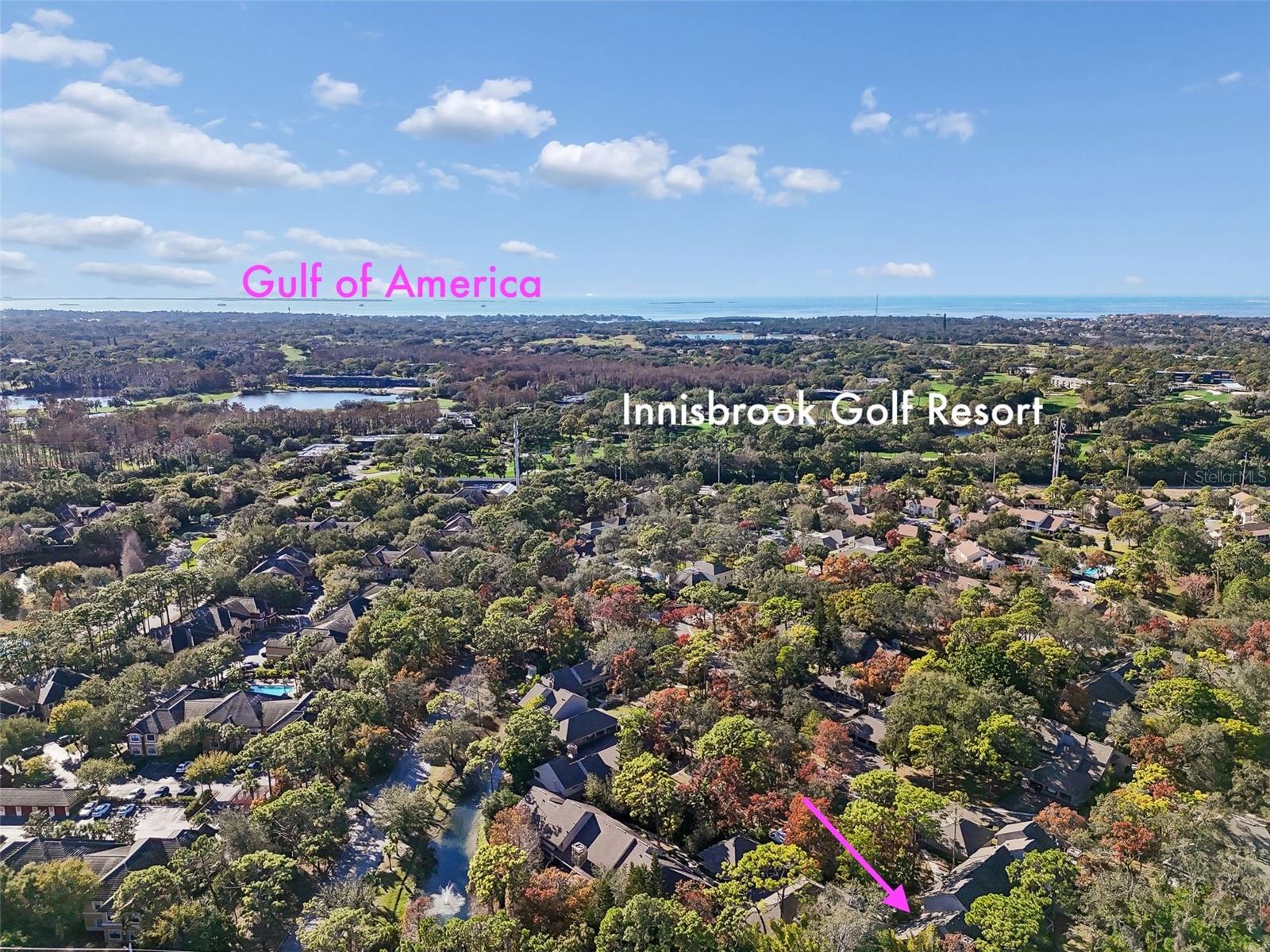 Convenient to beaches, golf, downtowns Palm Harbor, Tarpon Springs, Dunedin