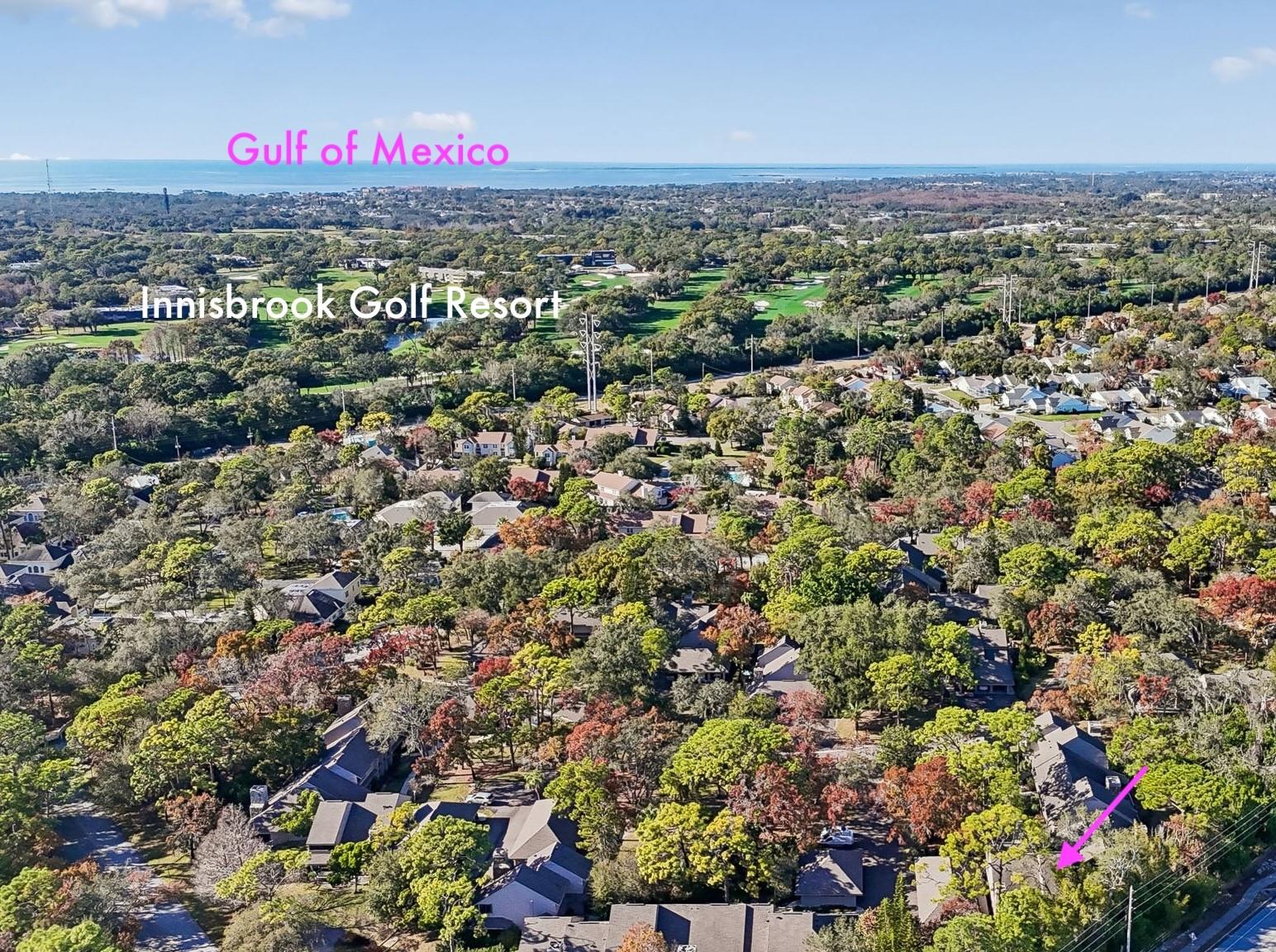 Convenient to beaches, golf, downtowns Palm Harbor, Tarpon Springs, Dunedin