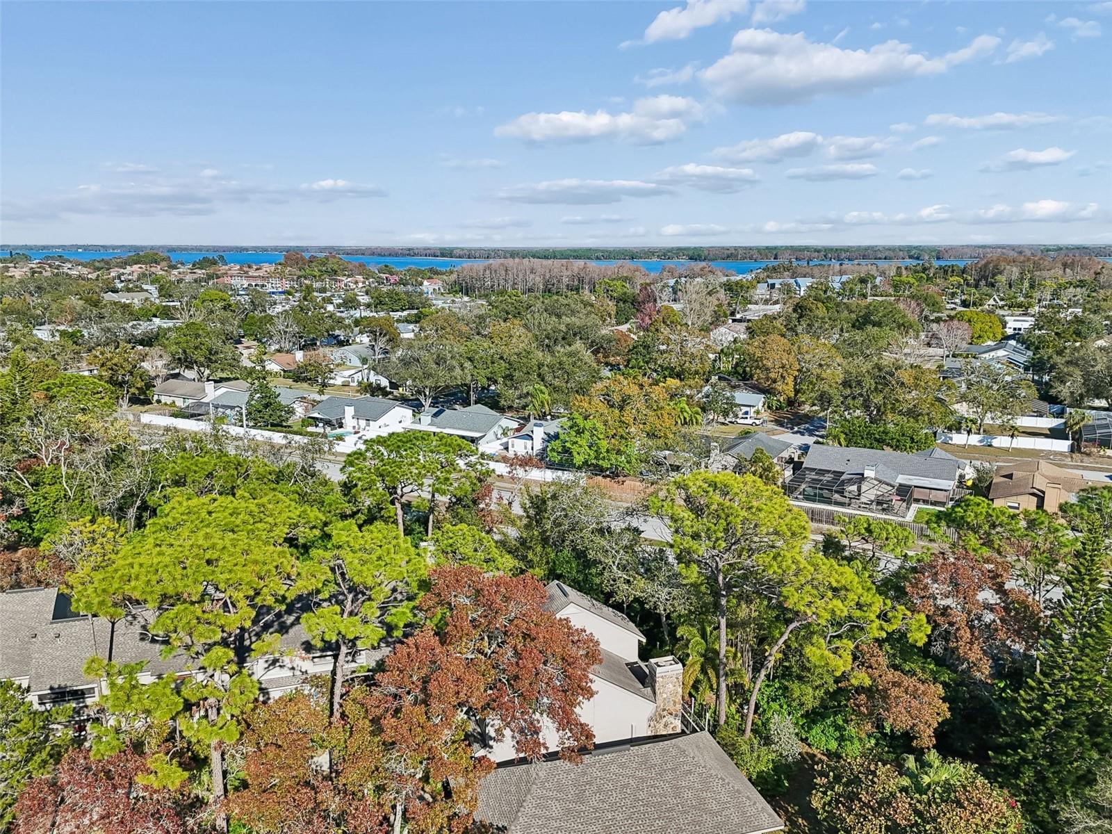 Convenient to Lake Tarpon