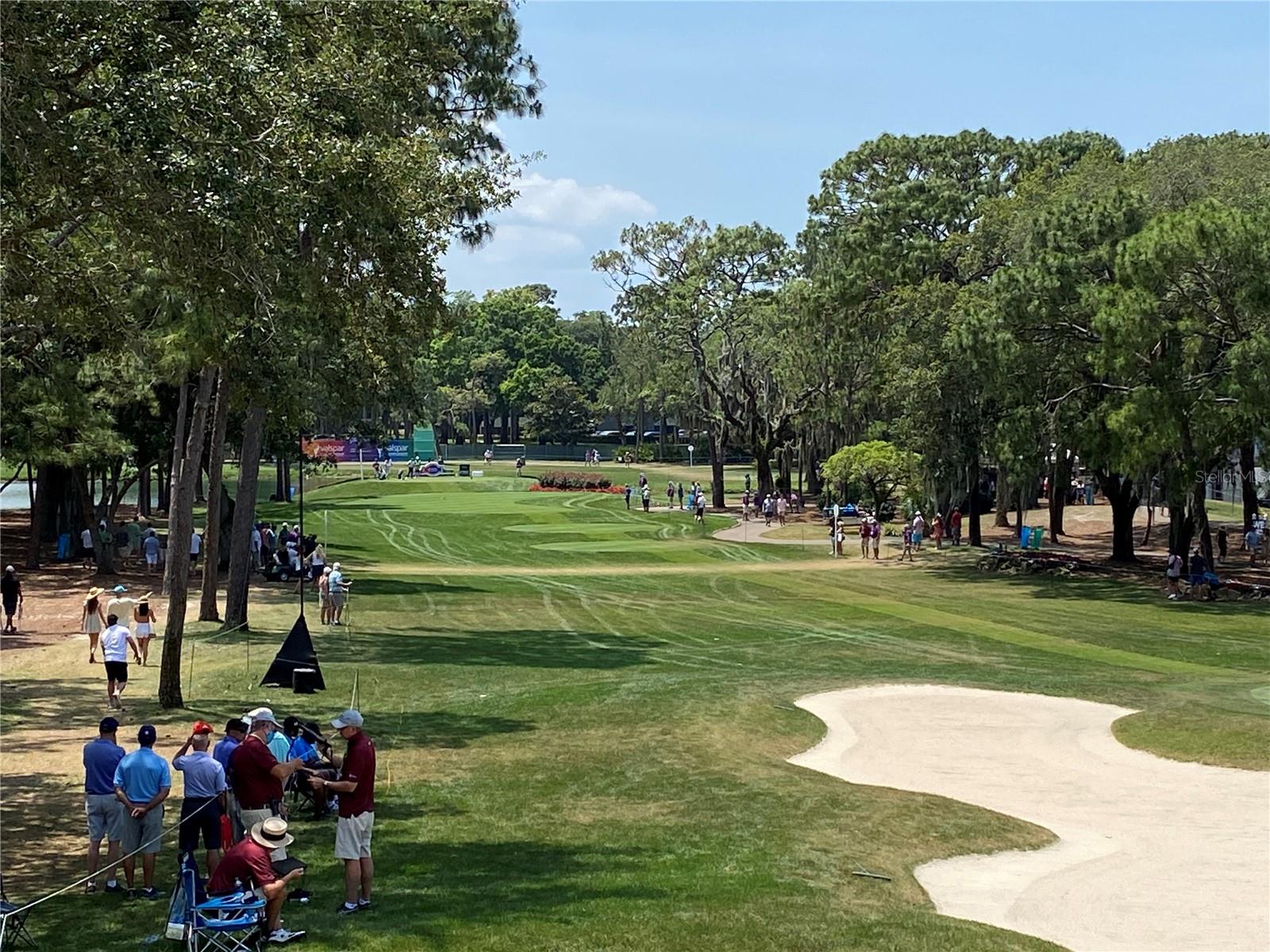 Right next to Innisbrook Golf Resort-Copperhead Course