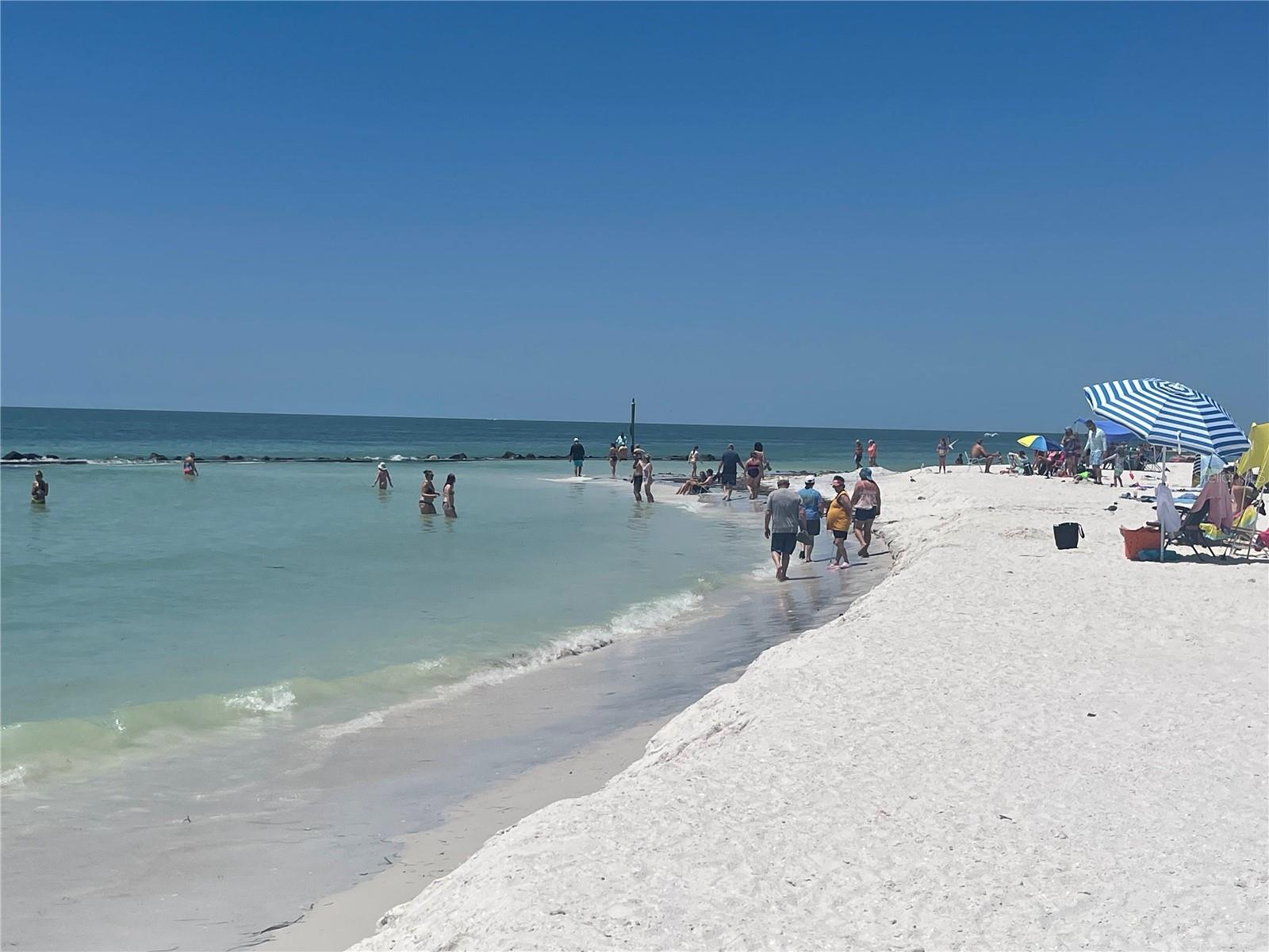 Honeymoon Island Beaches