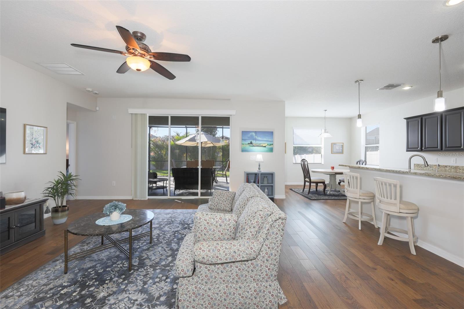 Living room/Kitchen combo