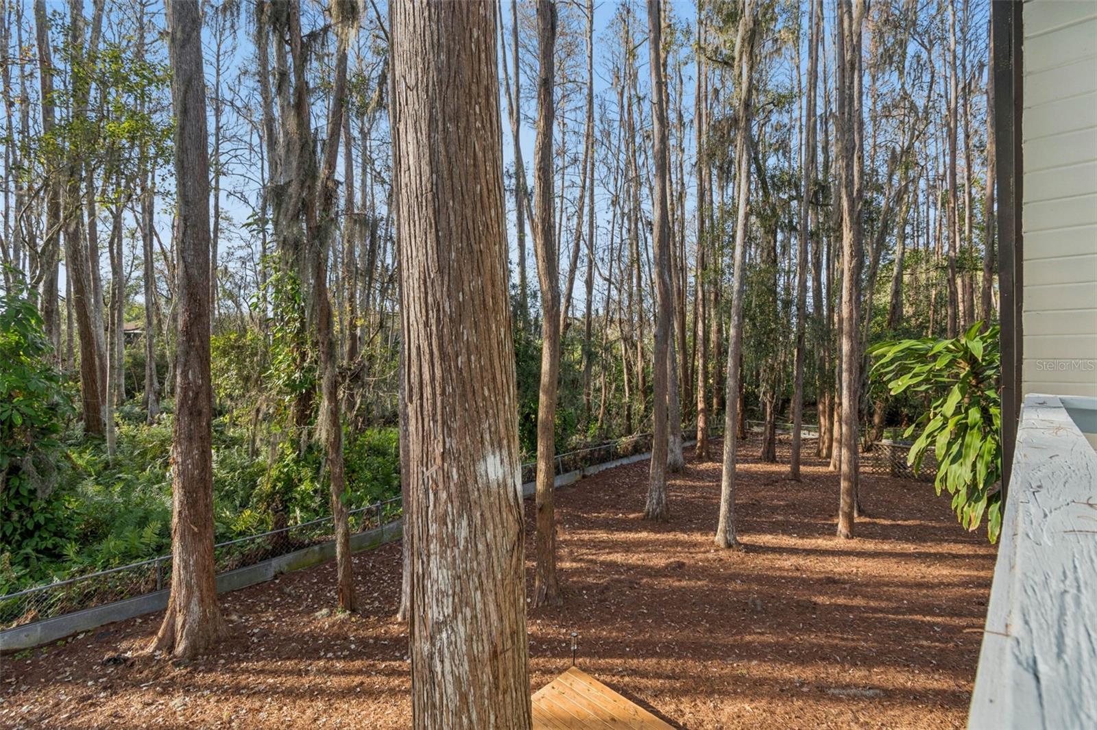 Primary Bedroom Balcony view