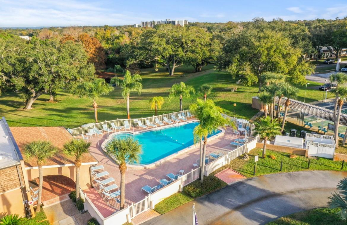 Arial View of Pool and Shuffleboard Courts