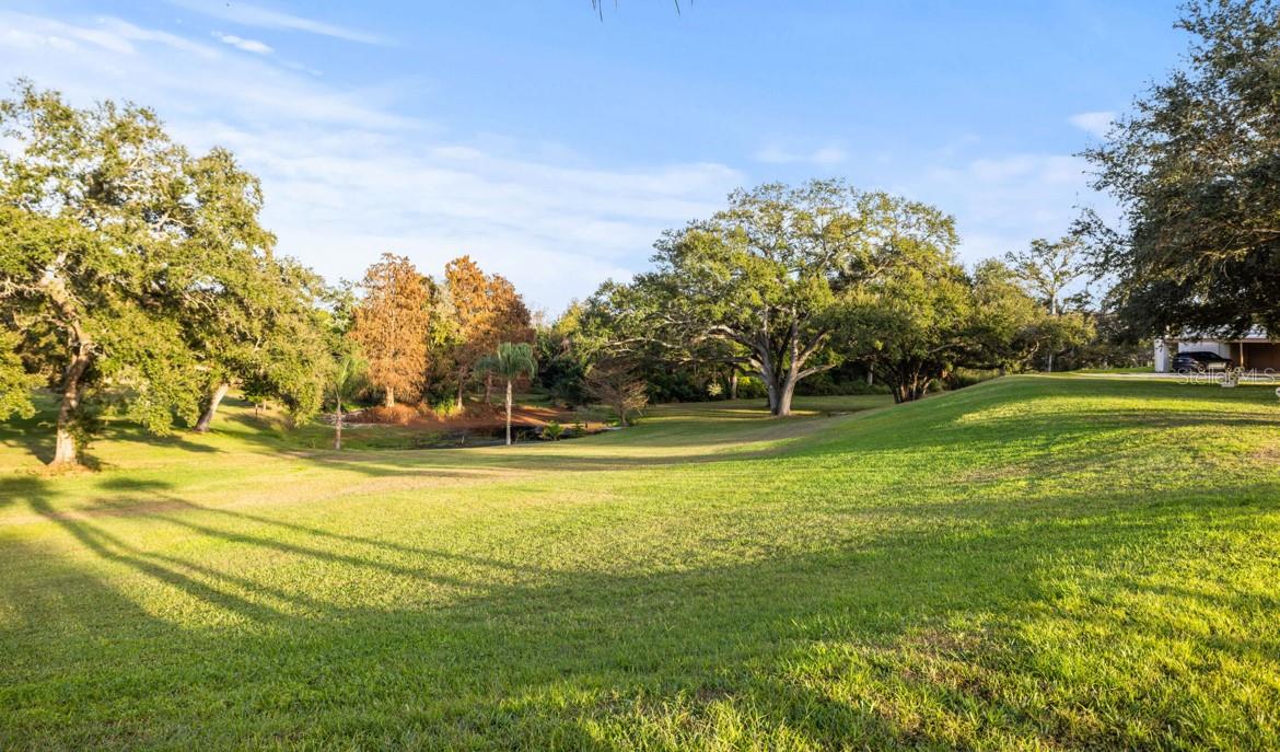 Pond and Green Space