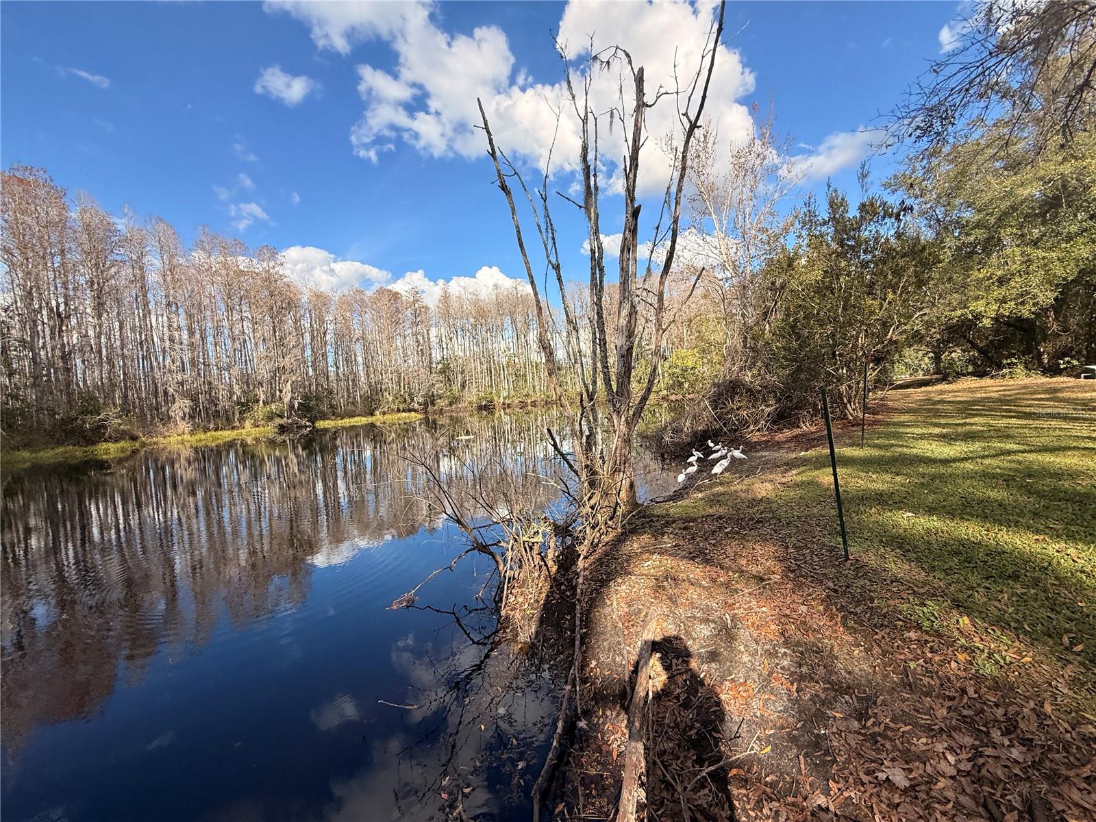 Enjoy your view from the baywindow and screen enclosed porch.