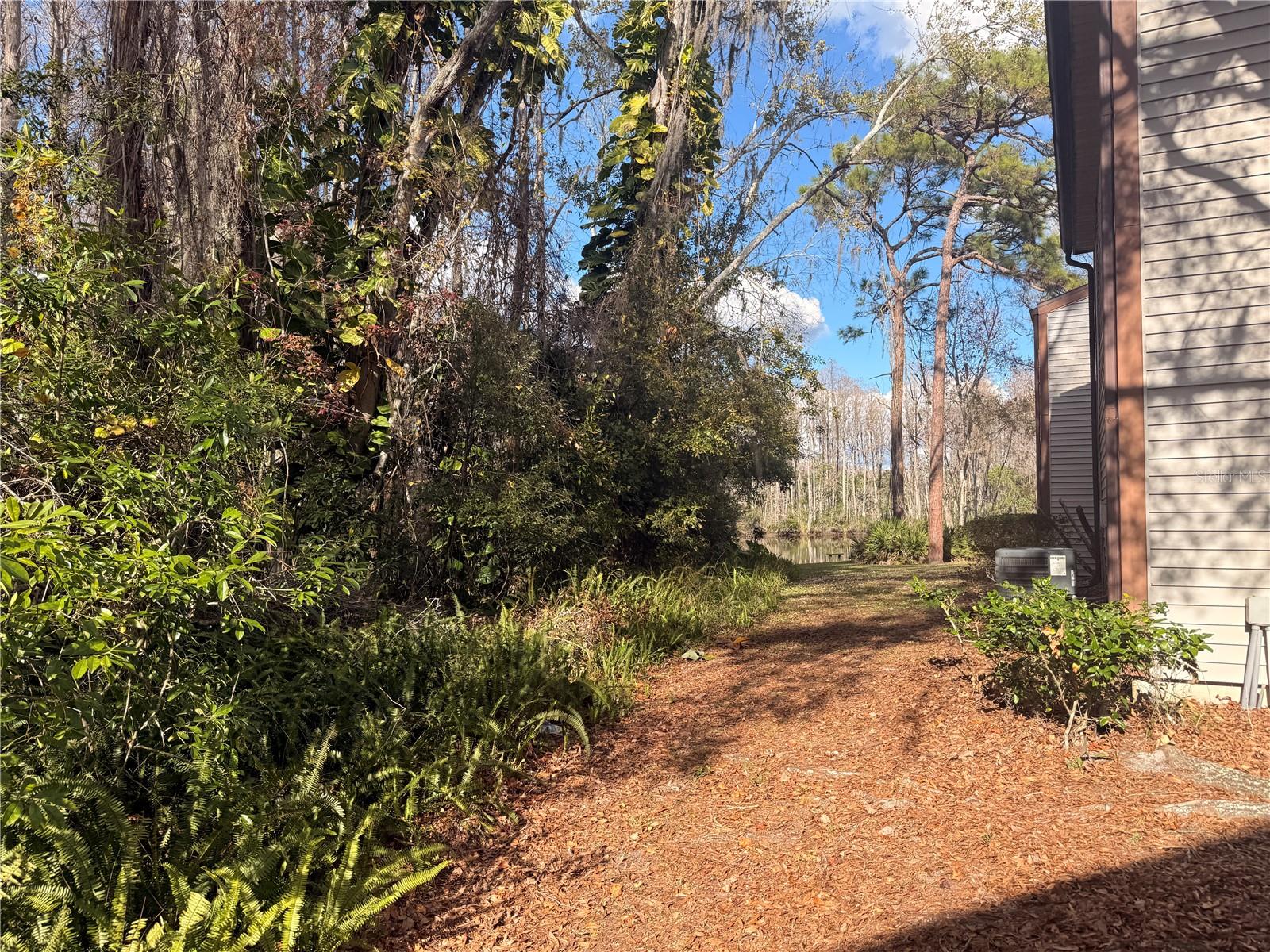 Path to backyard pond