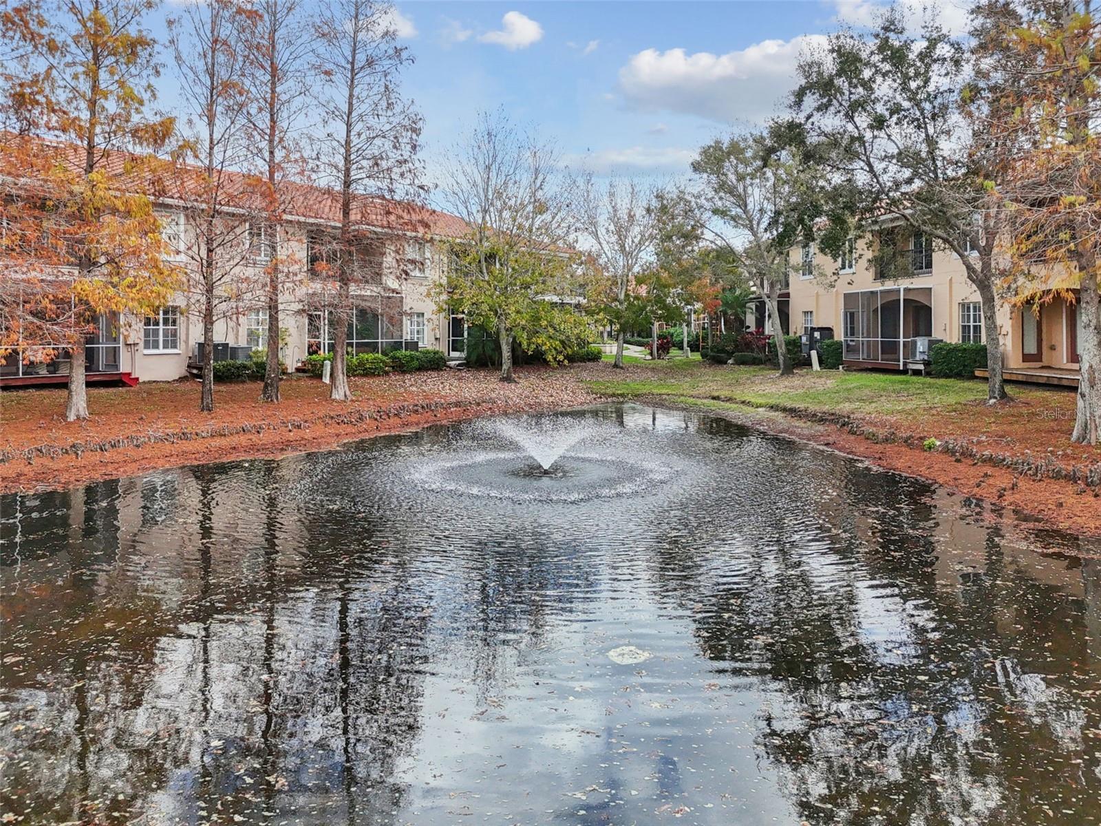 view of pond and fountain from rear screened porch