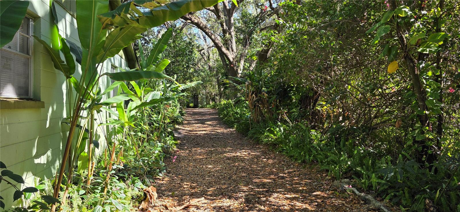 Path back to the Nursery
