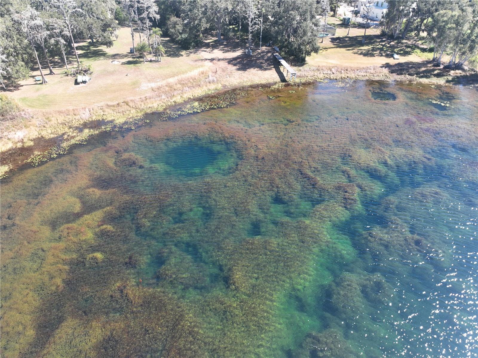 Appx 18 Acre Spring Fed Lake Raleigh