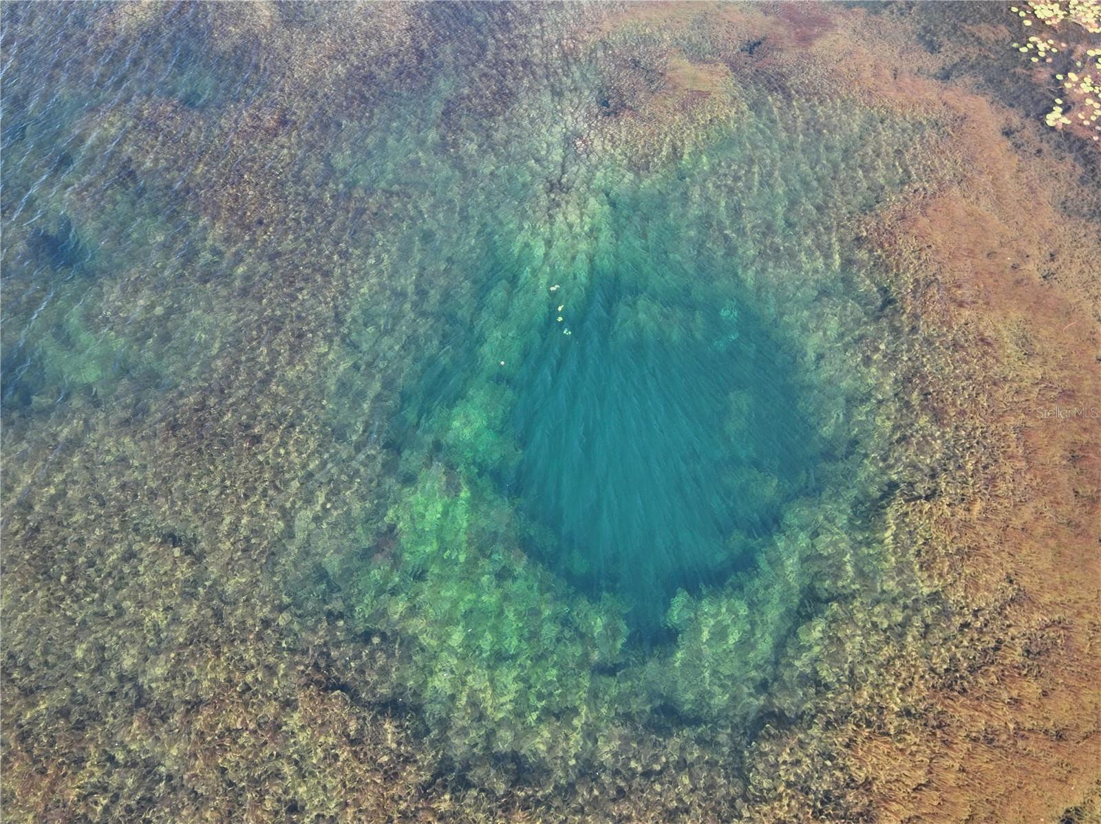 Appx 18 Acre Spring Fed Lake Raleigh