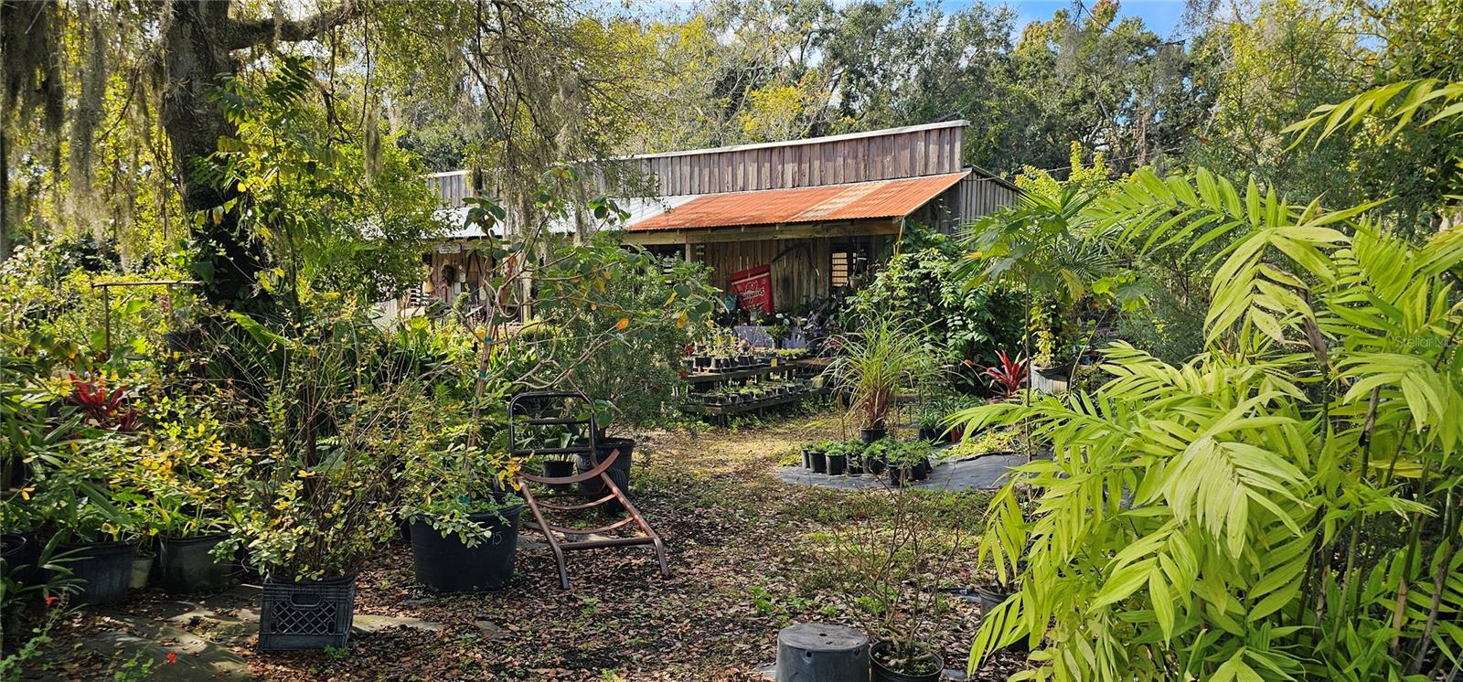 Service and country store