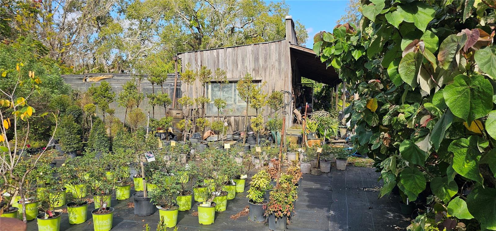 Service and Country Store