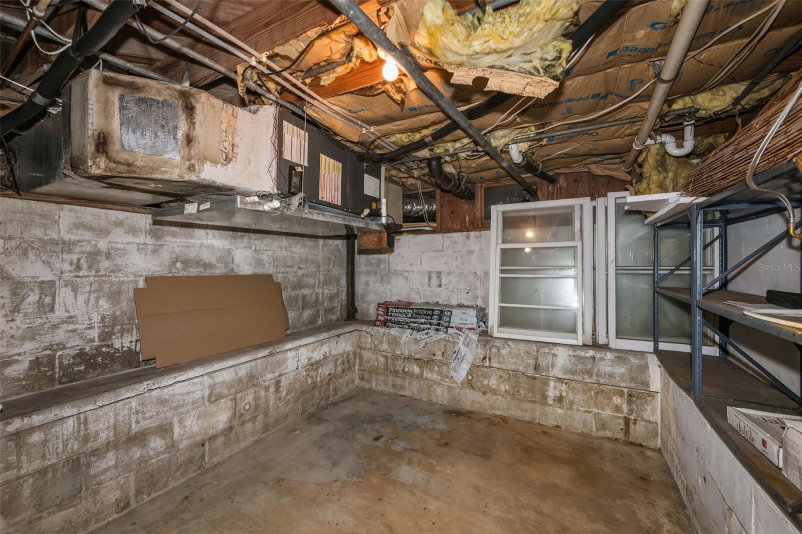 10x10 basement or future wine cellar