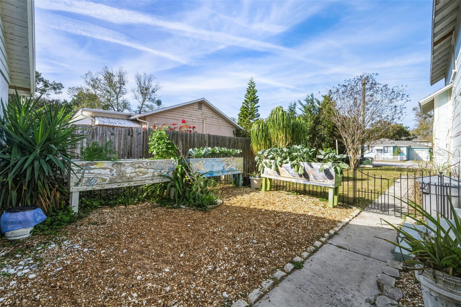 Sunny garden, fenced area.