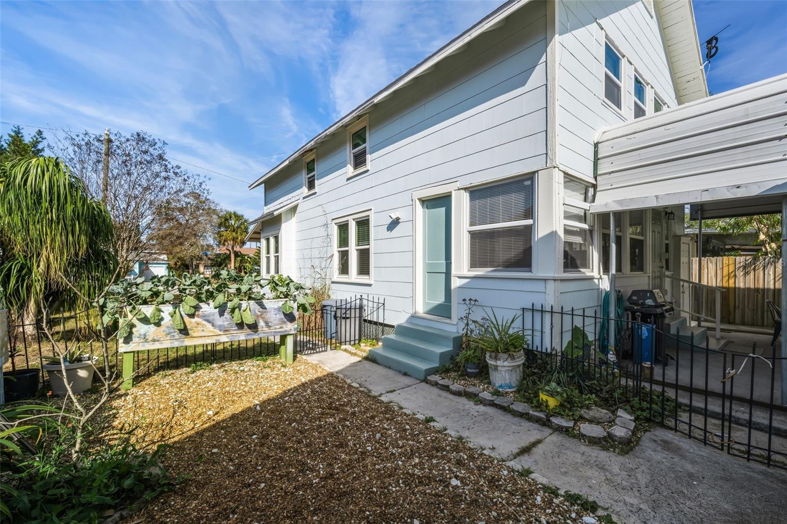Sunny garden, fenced area.