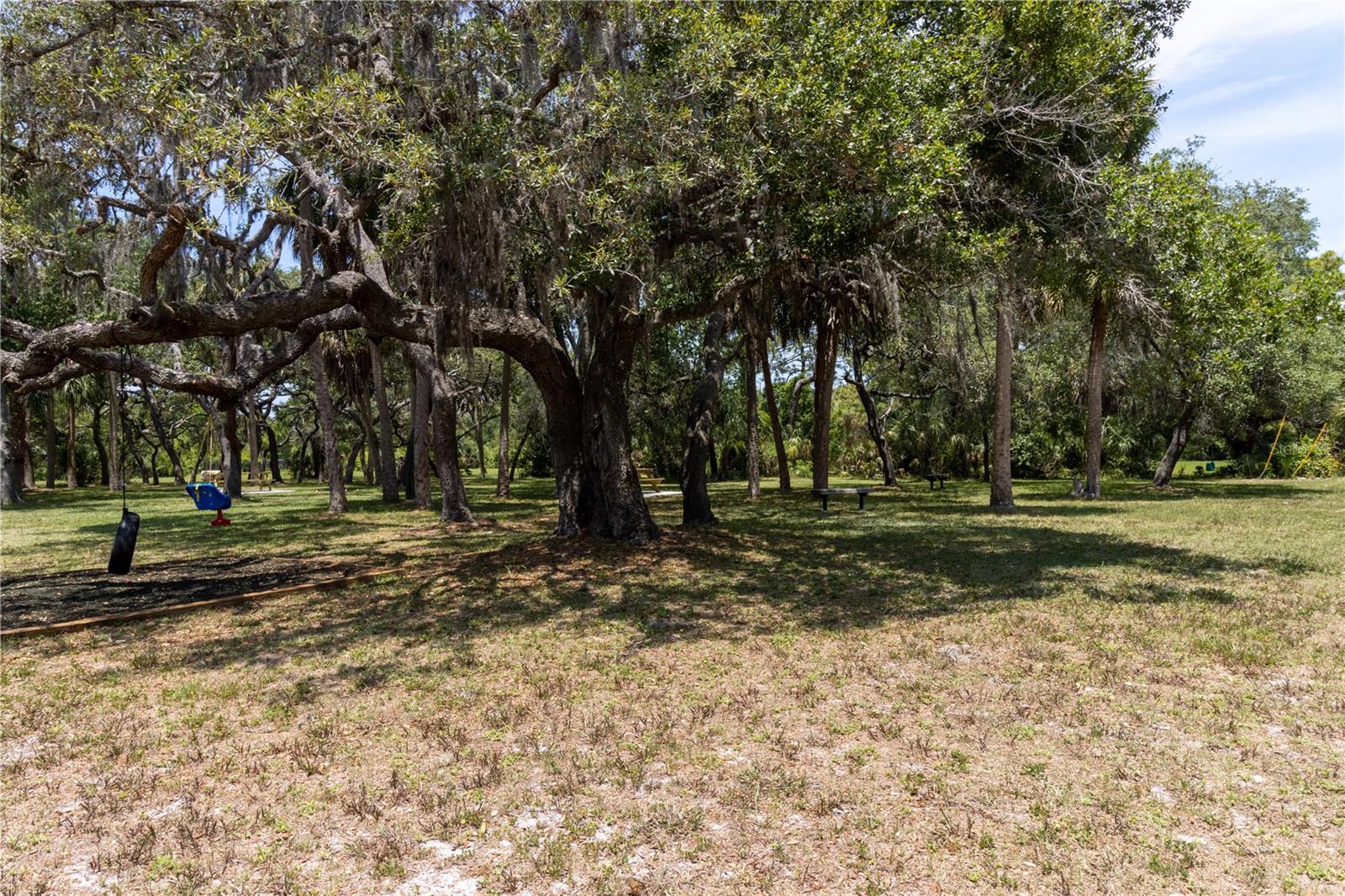 Sea Pines Woodland Park Play Area