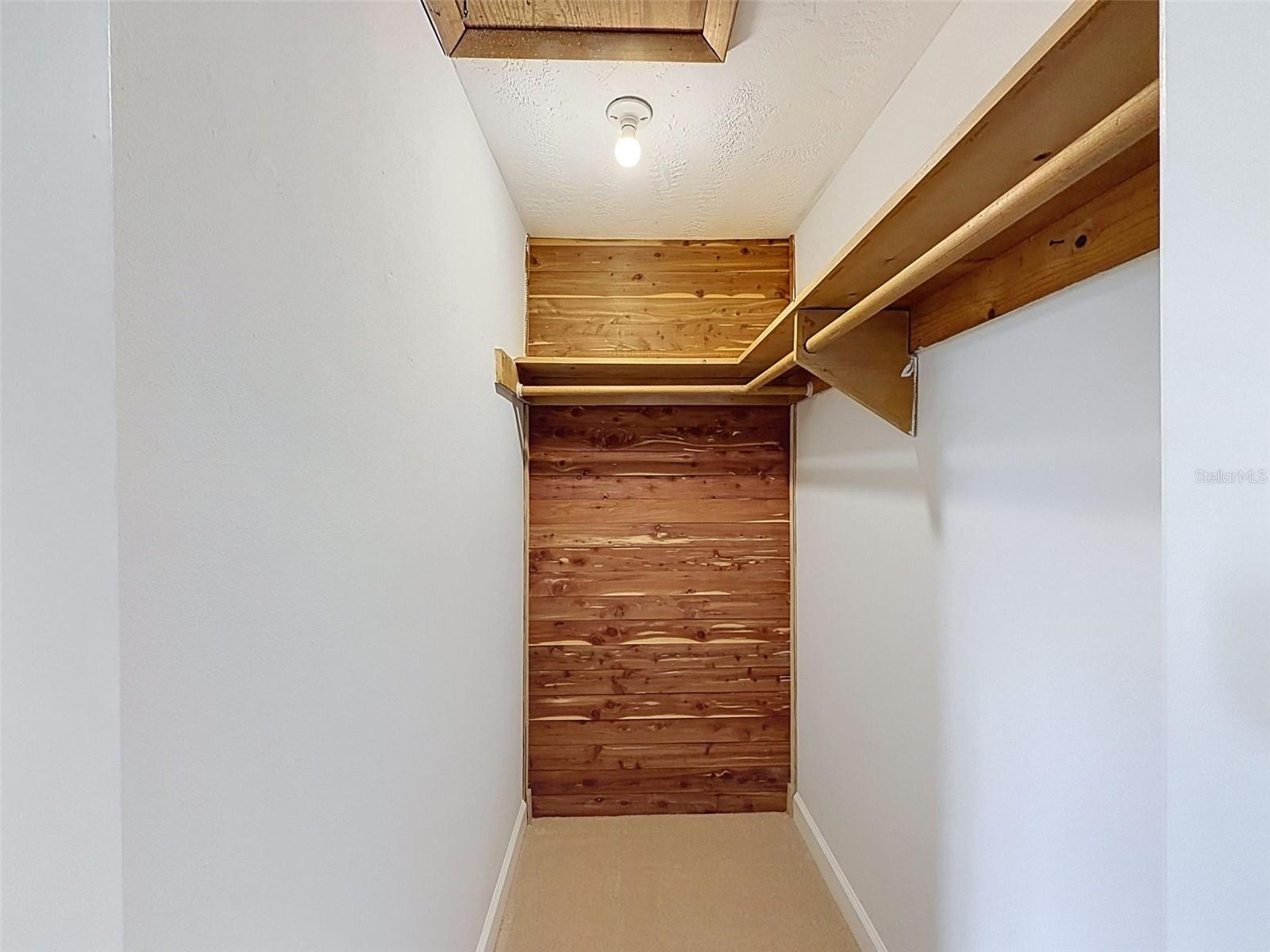 Primary Walk in Closet