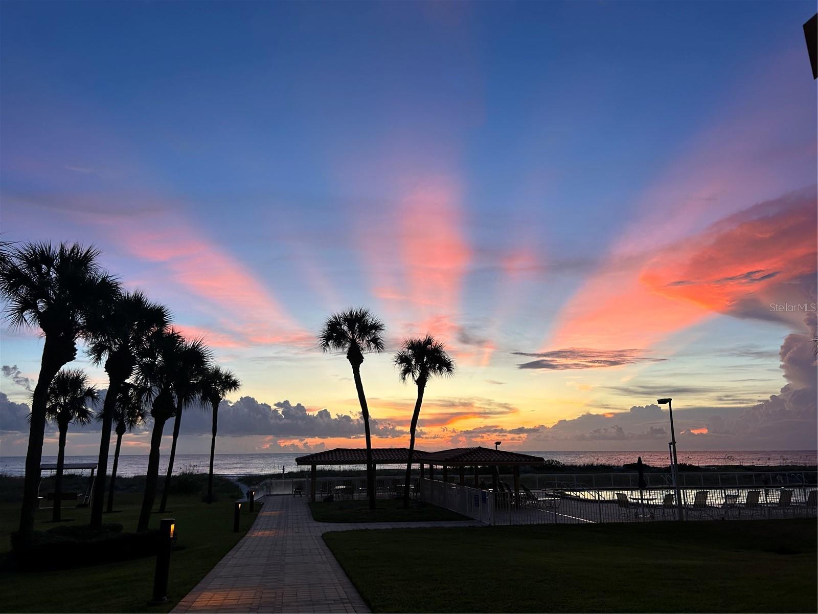 Sunsets by the Pool overlooking the gulf