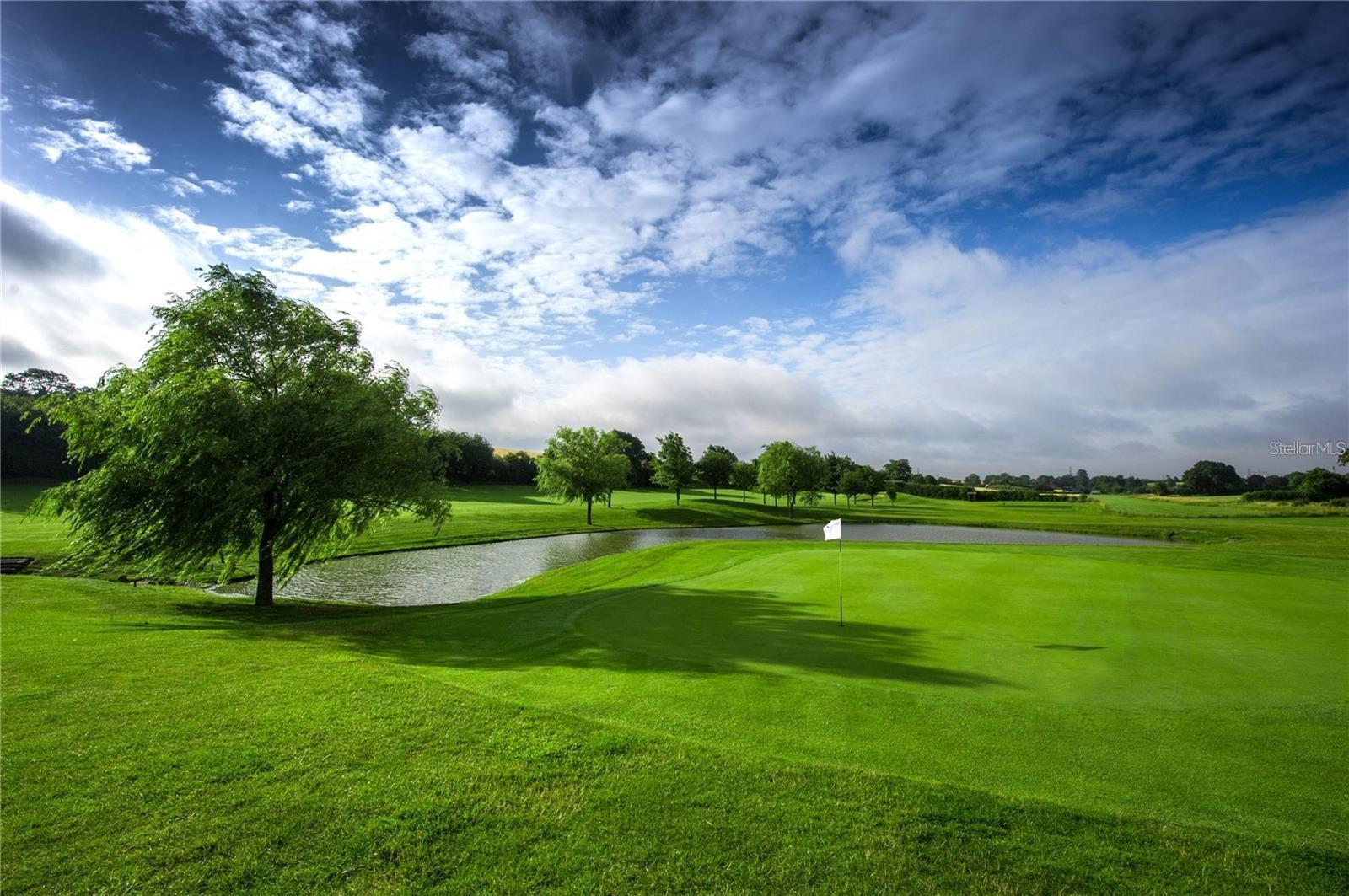 Kings Point has 3 9-hole golf courses and there are more courses in Sun City center