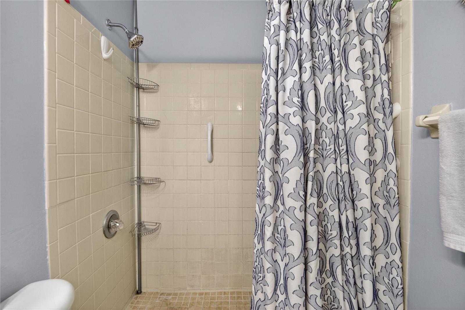 Bathroom Shower/Tub Combo