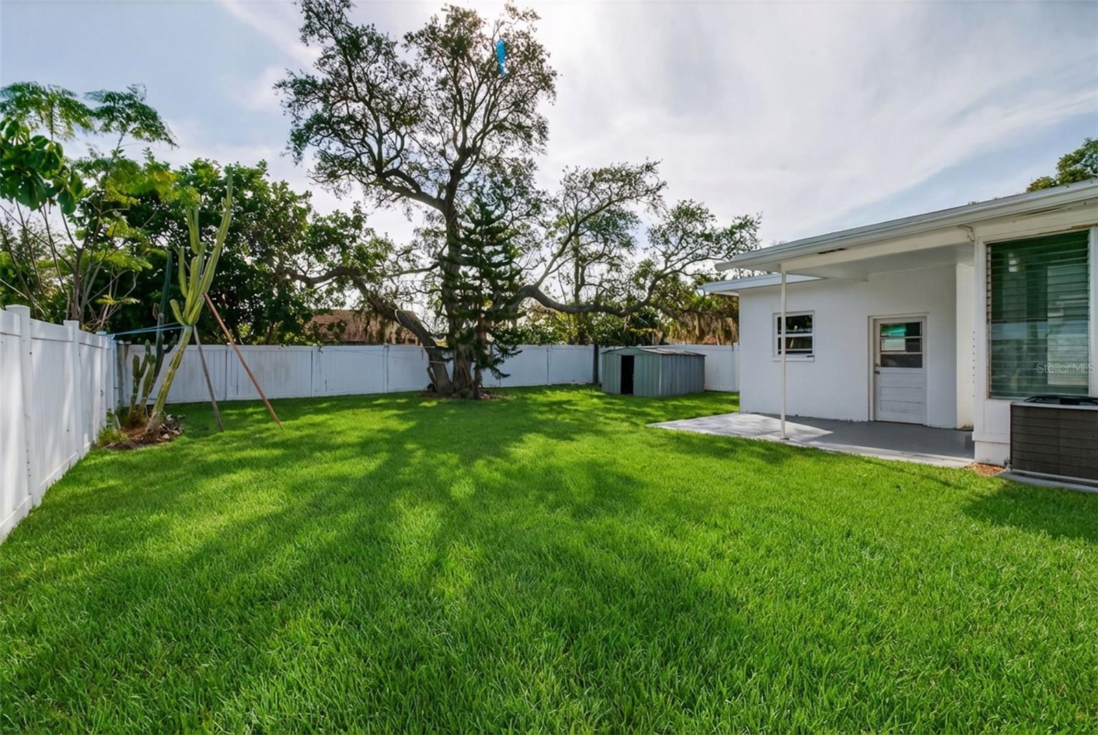 Large backyard (grass enhanced)