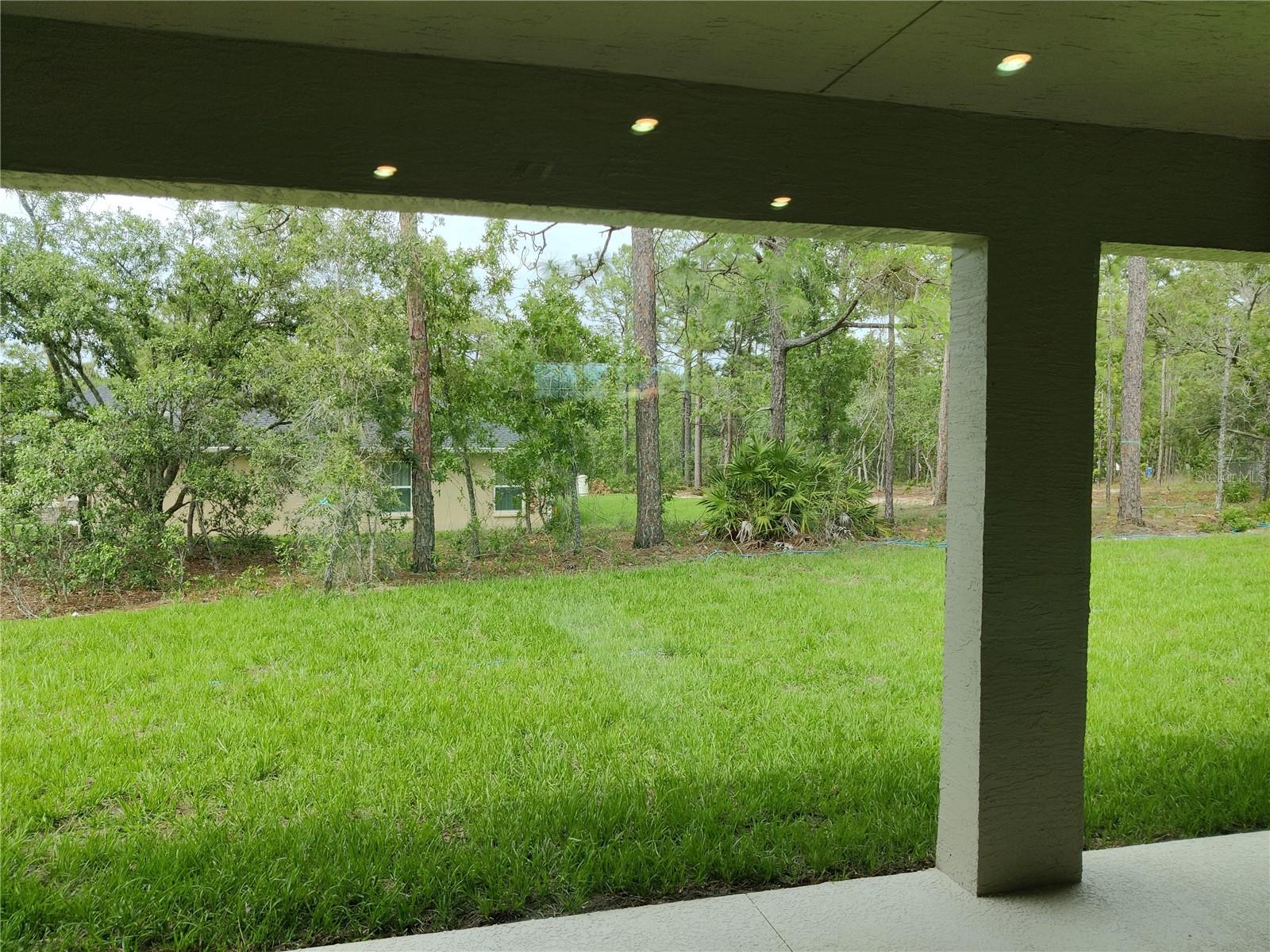 Lania/Backyard