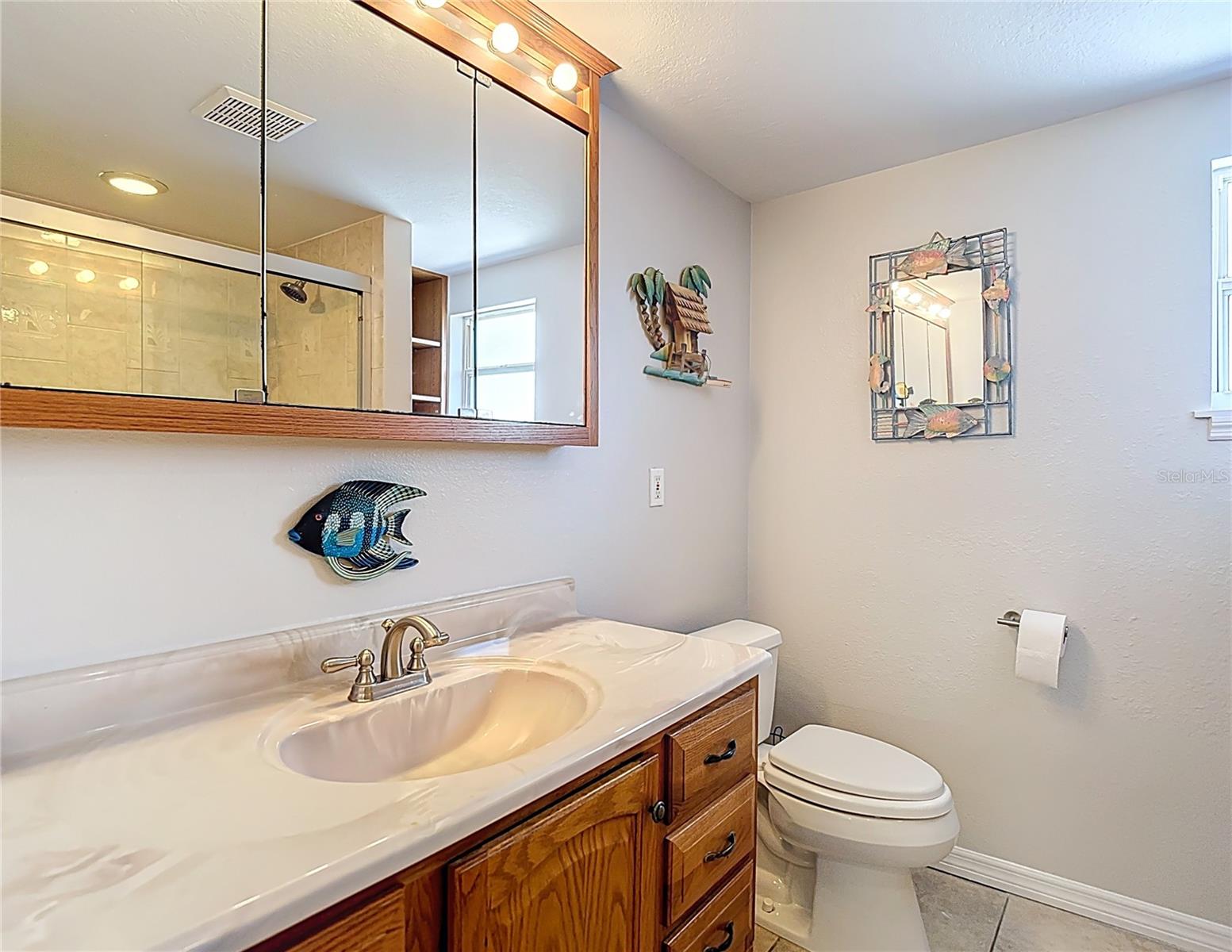 Guest bathroom