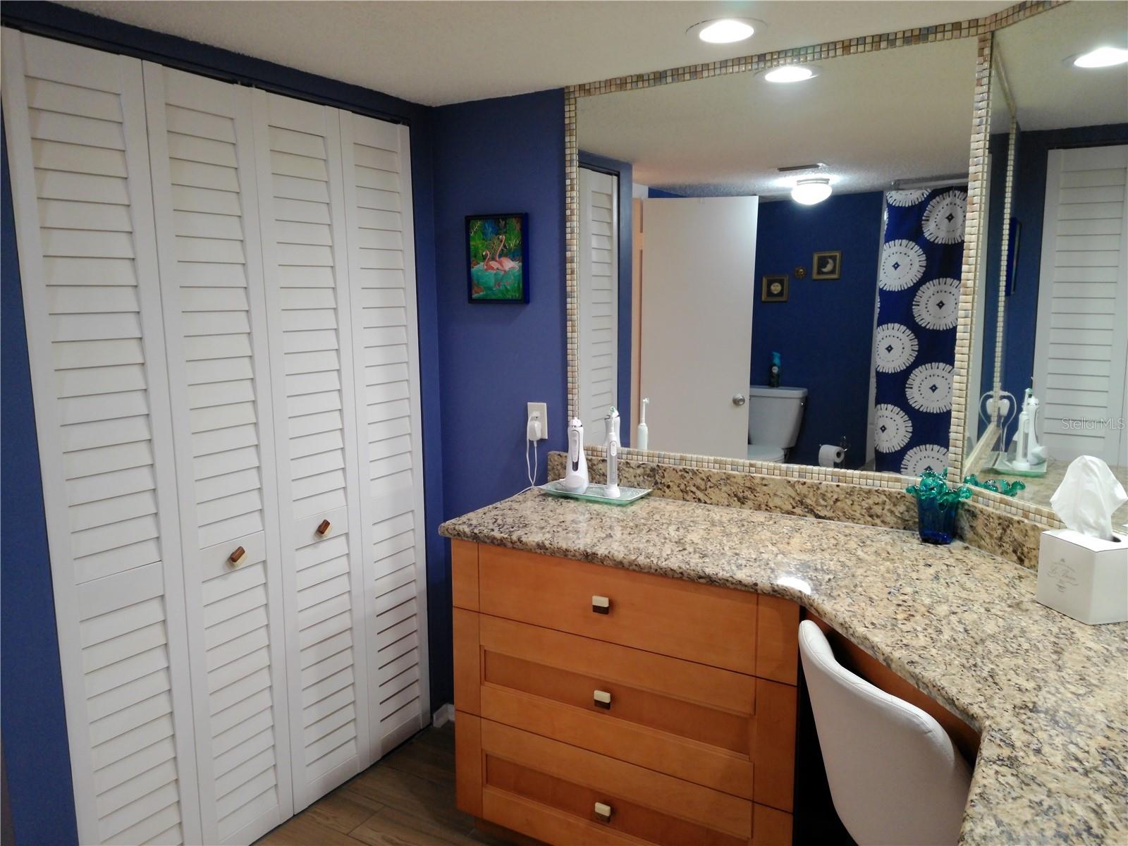 Master Bathroom with Vanity area
