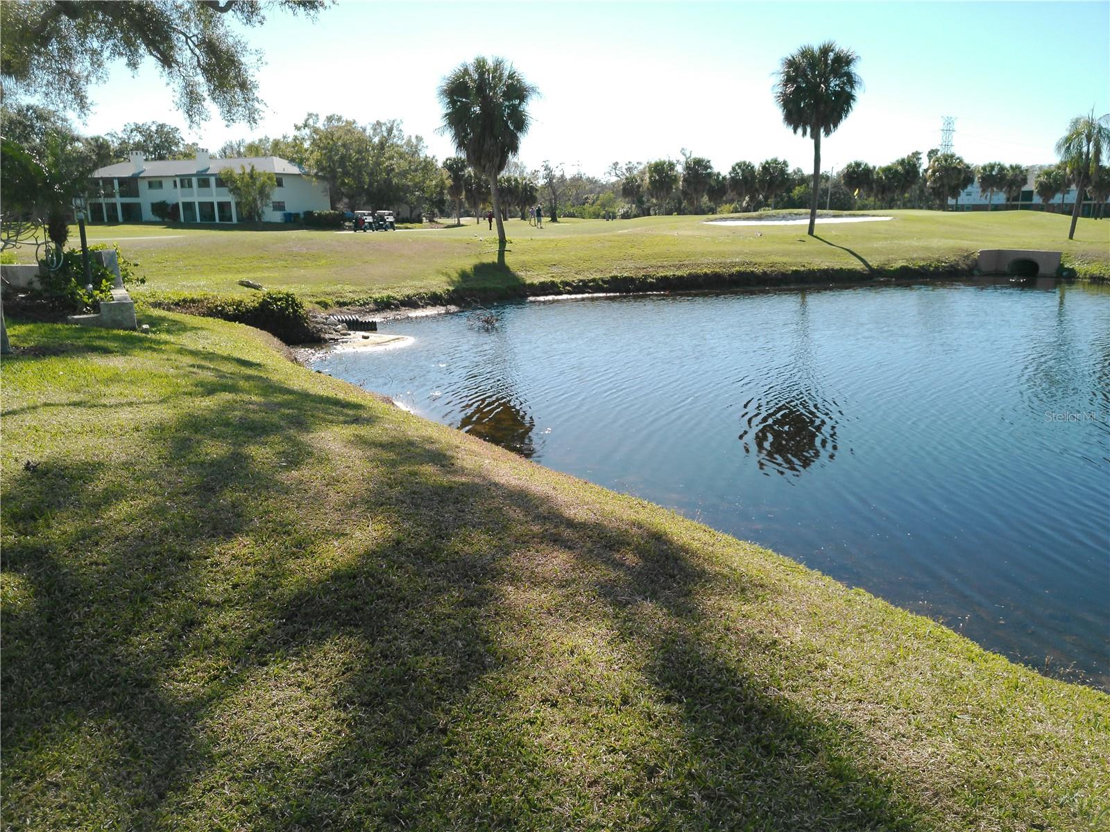 View of courtyard area looking toward the Golf Course and 5th Green