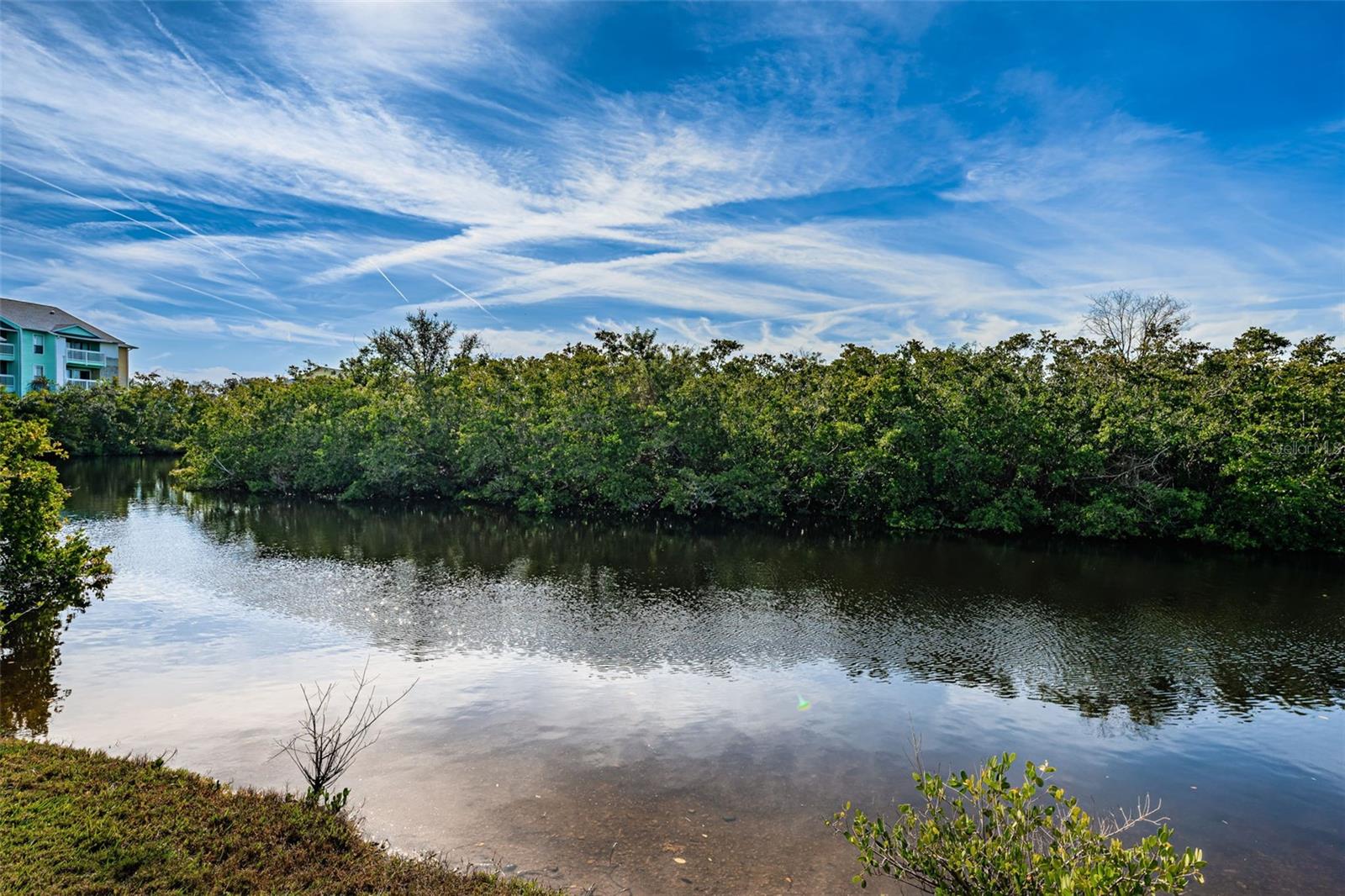 View of the pond from the back porch