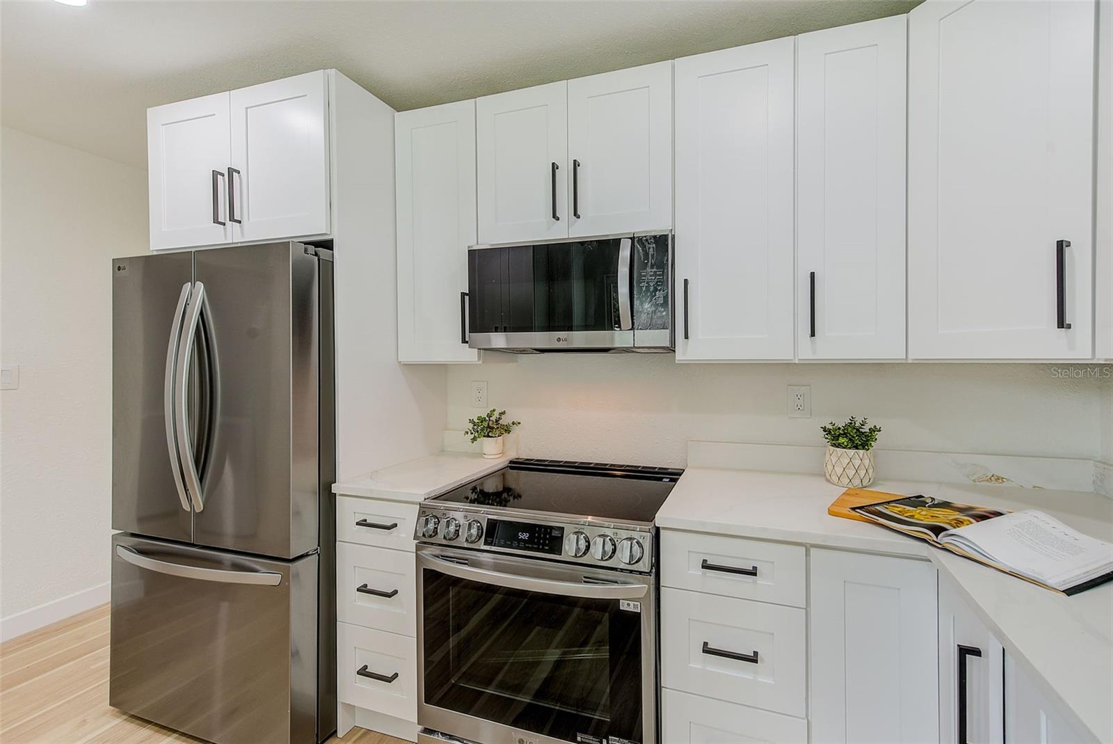 New Kitchen Cabinets , Appliances, and Quartz