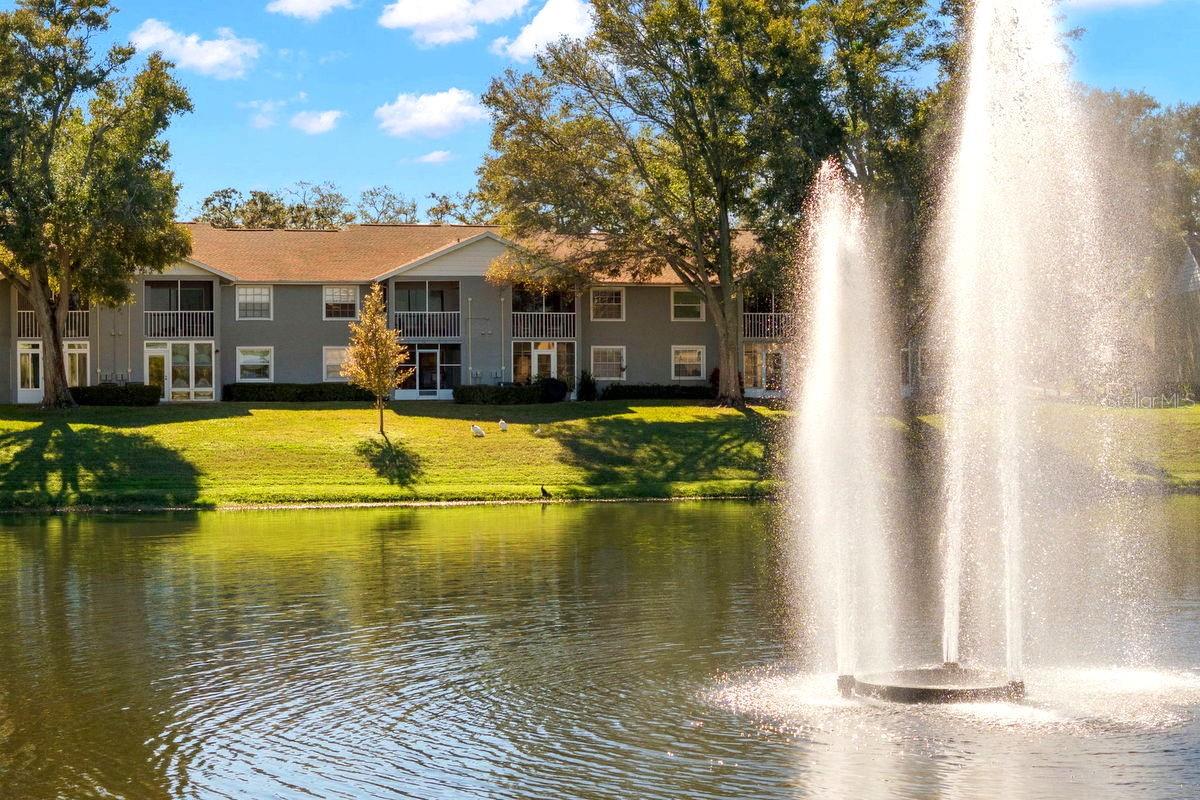 Lake / Fountain