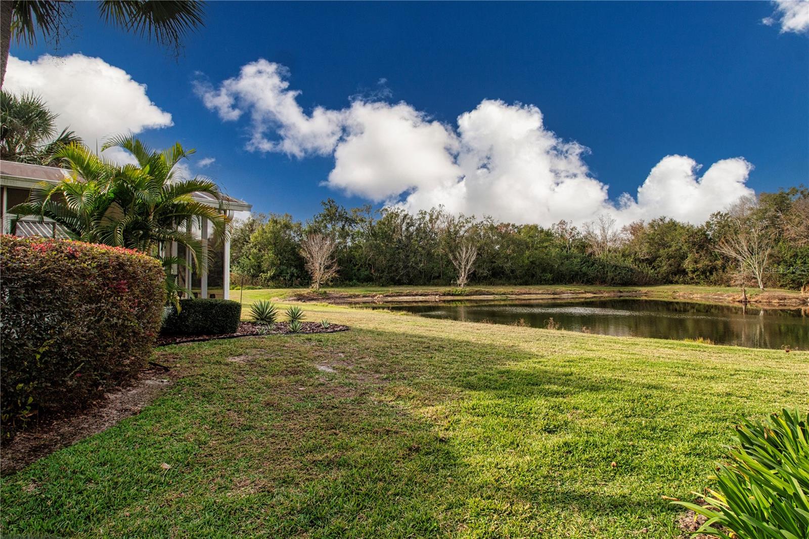 Looking around outside of house