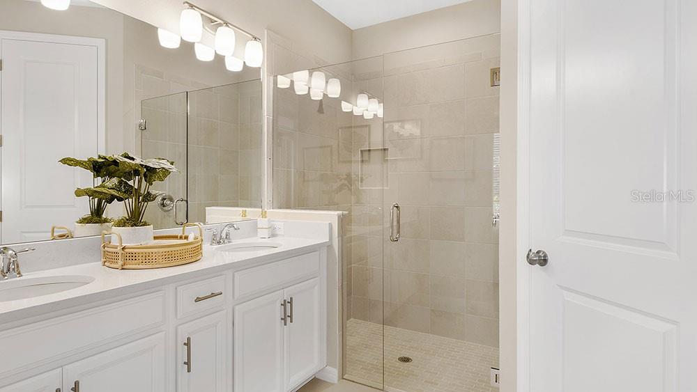 Representative Photo