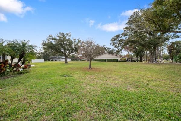 Spacious Backyard with