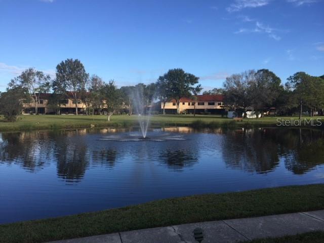 Big center lake near Oleander center