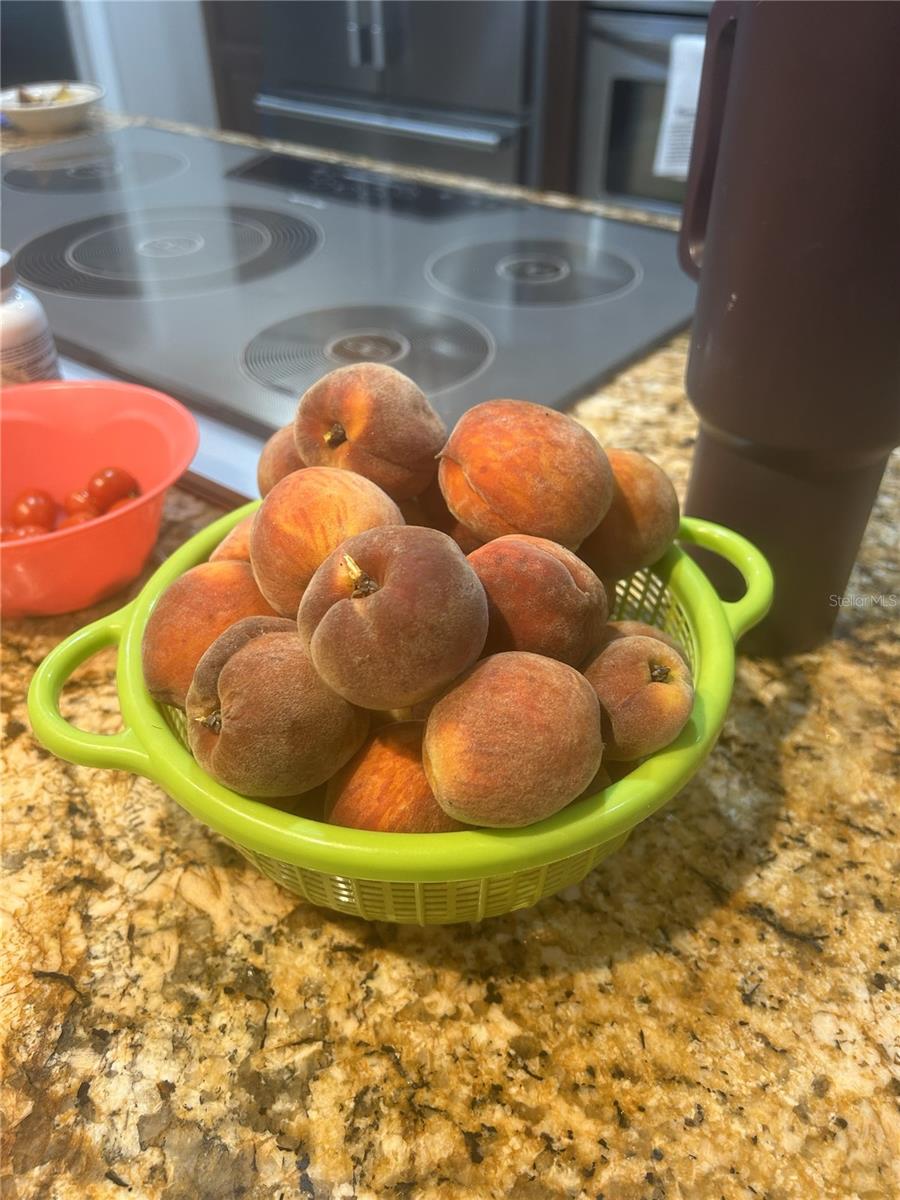 Home Grown Peaches