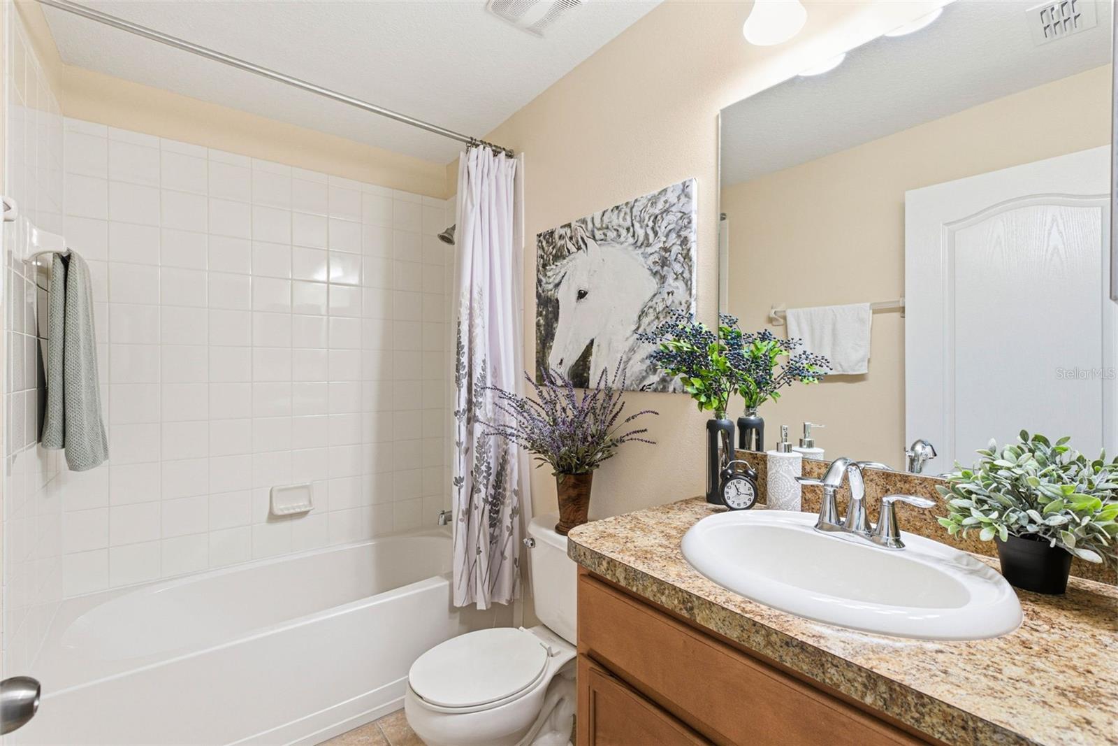 Guest Bathroom with Shower/Tub Combo