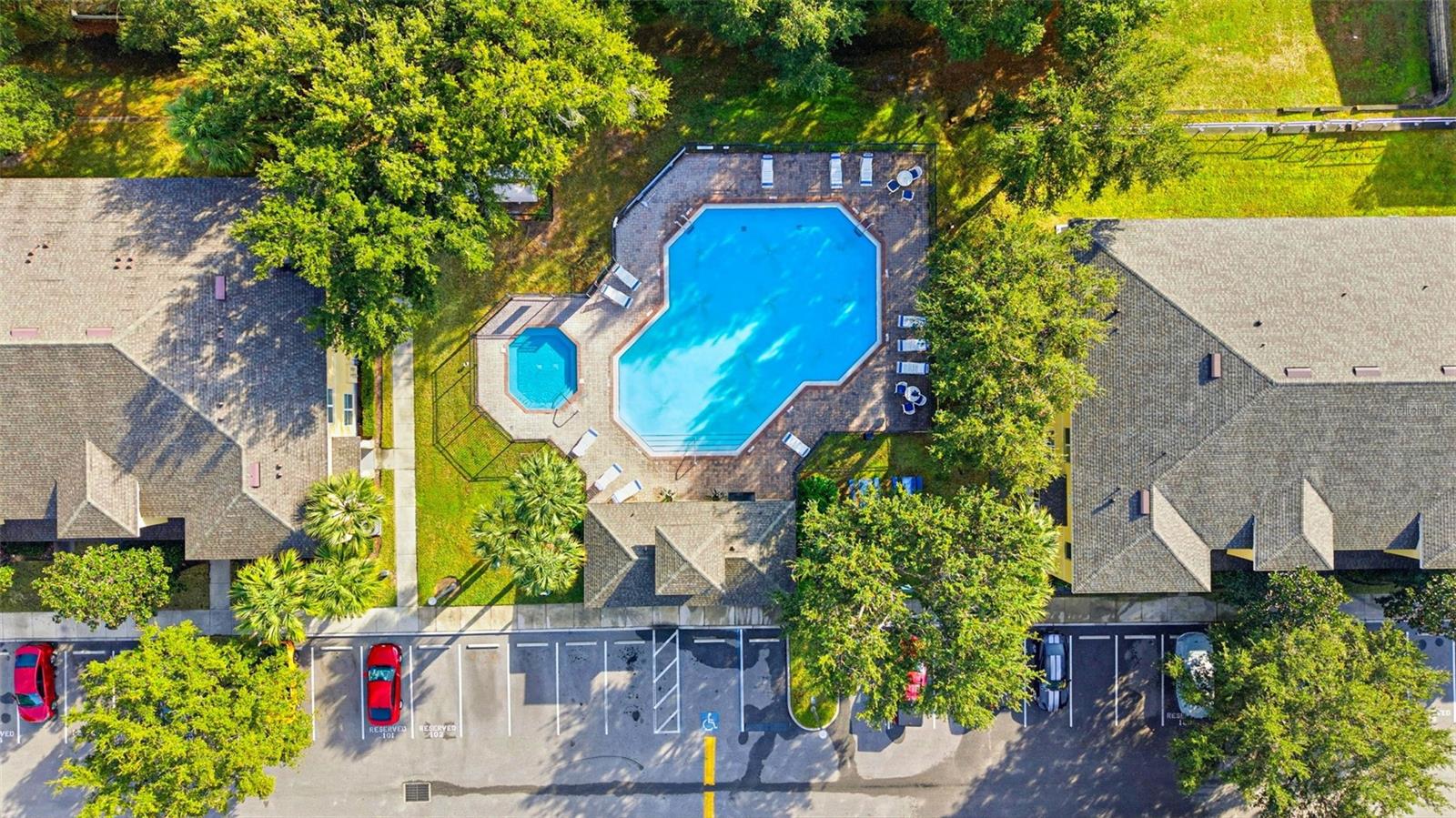 Community Pool - aerial view