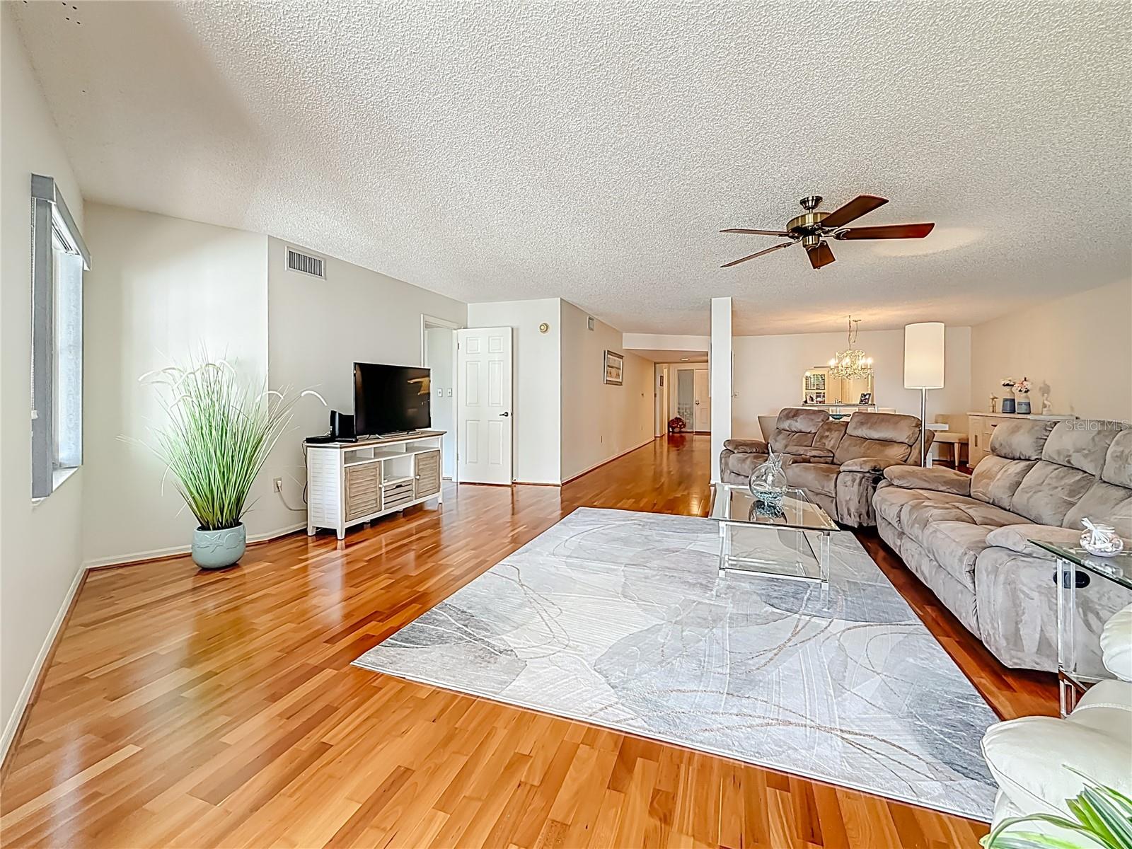 This view is looking back from the living area to the entry foyer