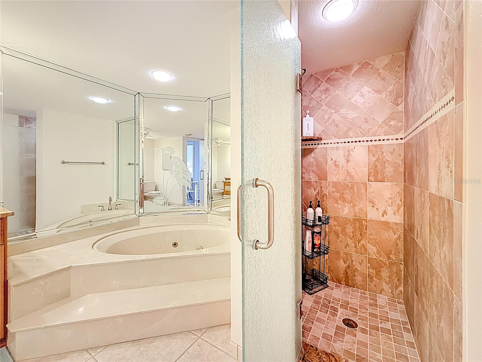 This picture shows the jetted tub and the separate walk-in shower.
