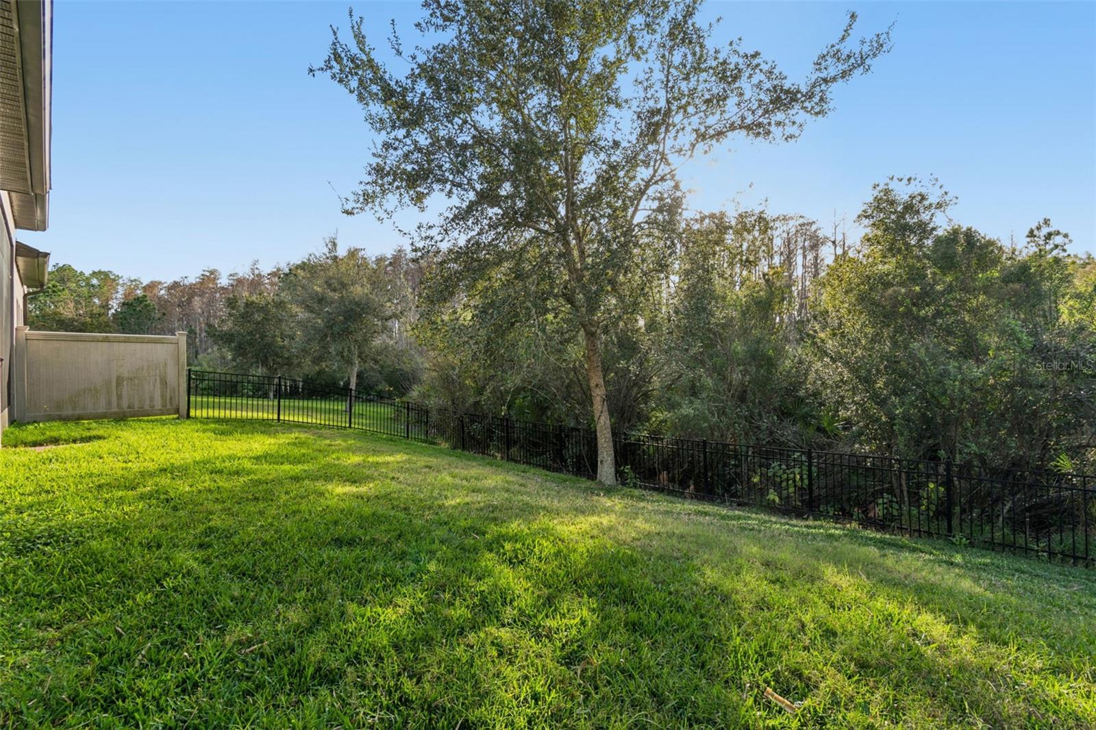 Private, fenced backyard with lush, manicured lawn