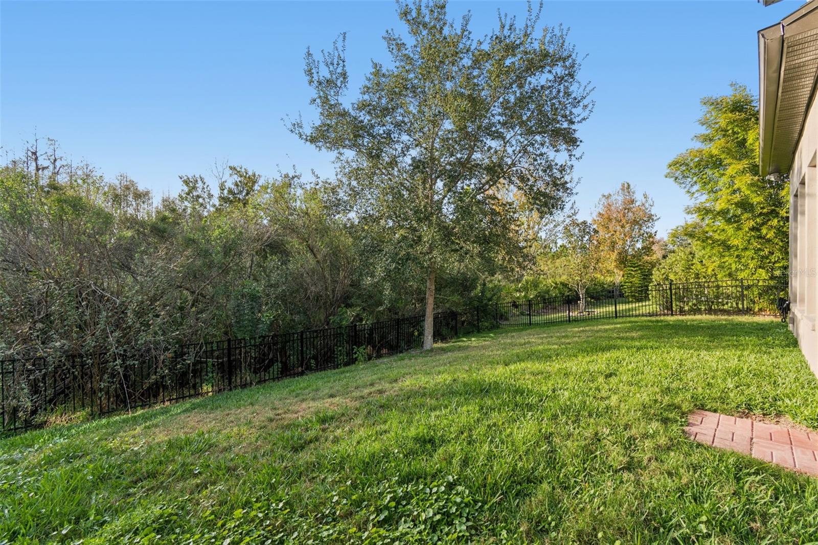 Private, fenced backyard with lush, manicured lawn