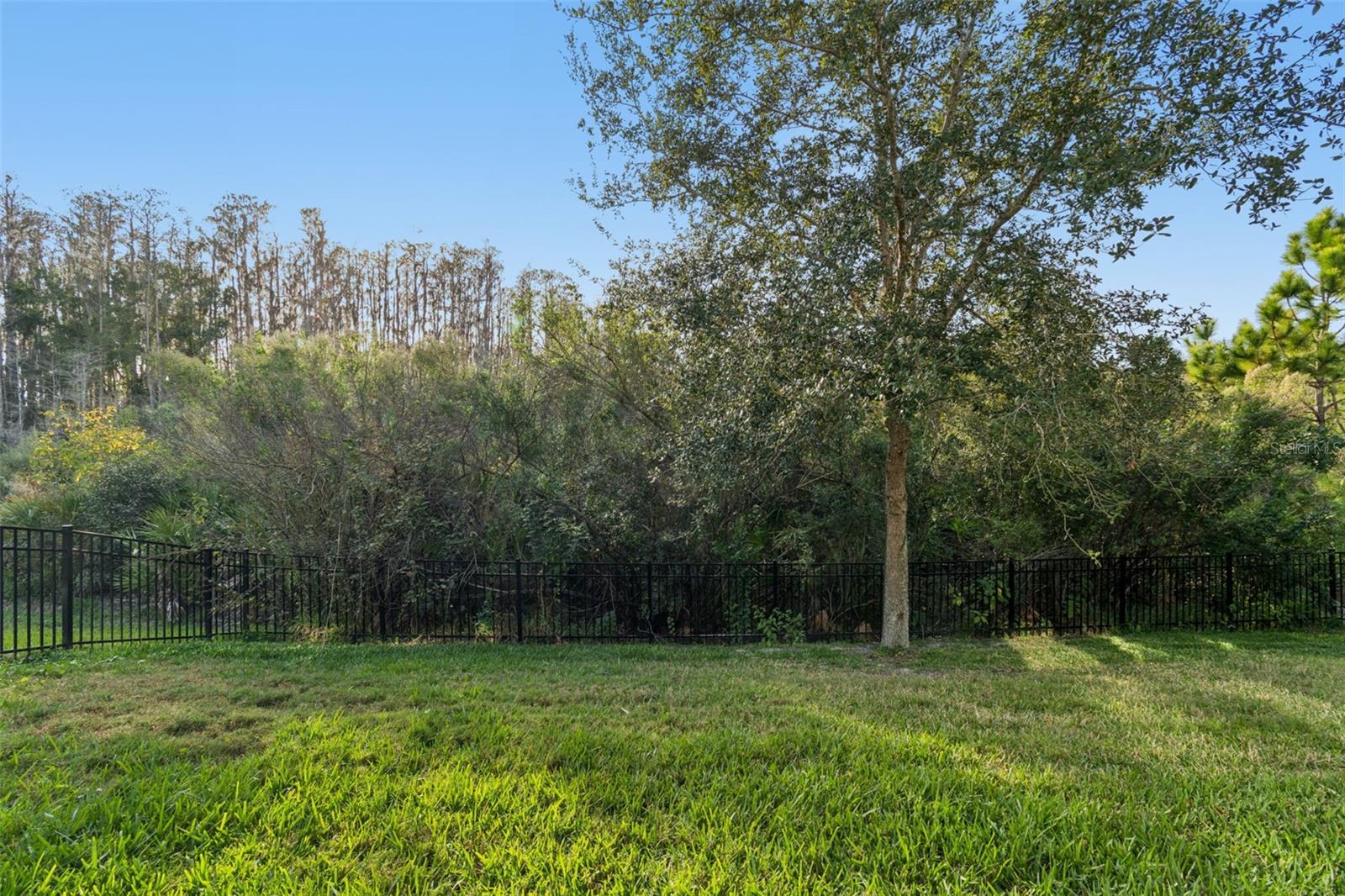 Private, fenced backyard with lush, manicured lawn