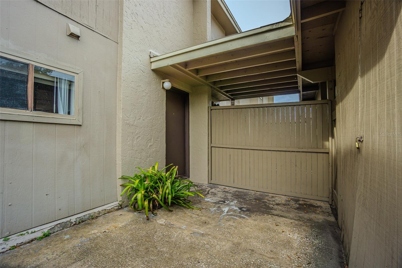 Patio area behind the carport, by the storage shed and kitchen entry