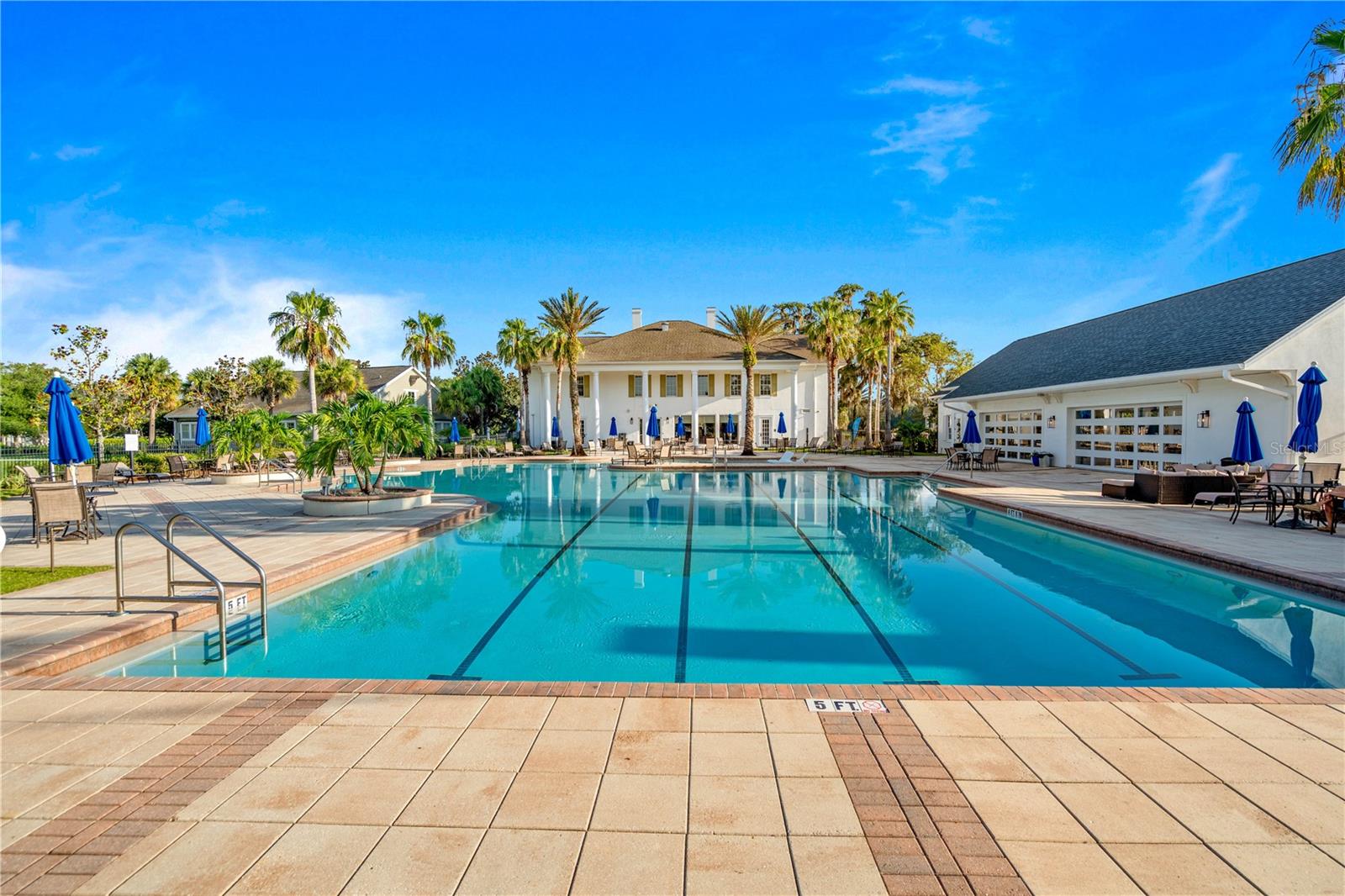 Pool and Amenities