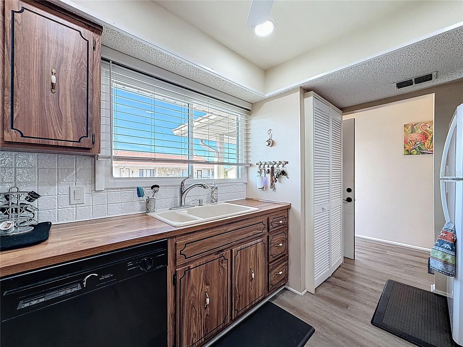 Utility Closet in Kitchen